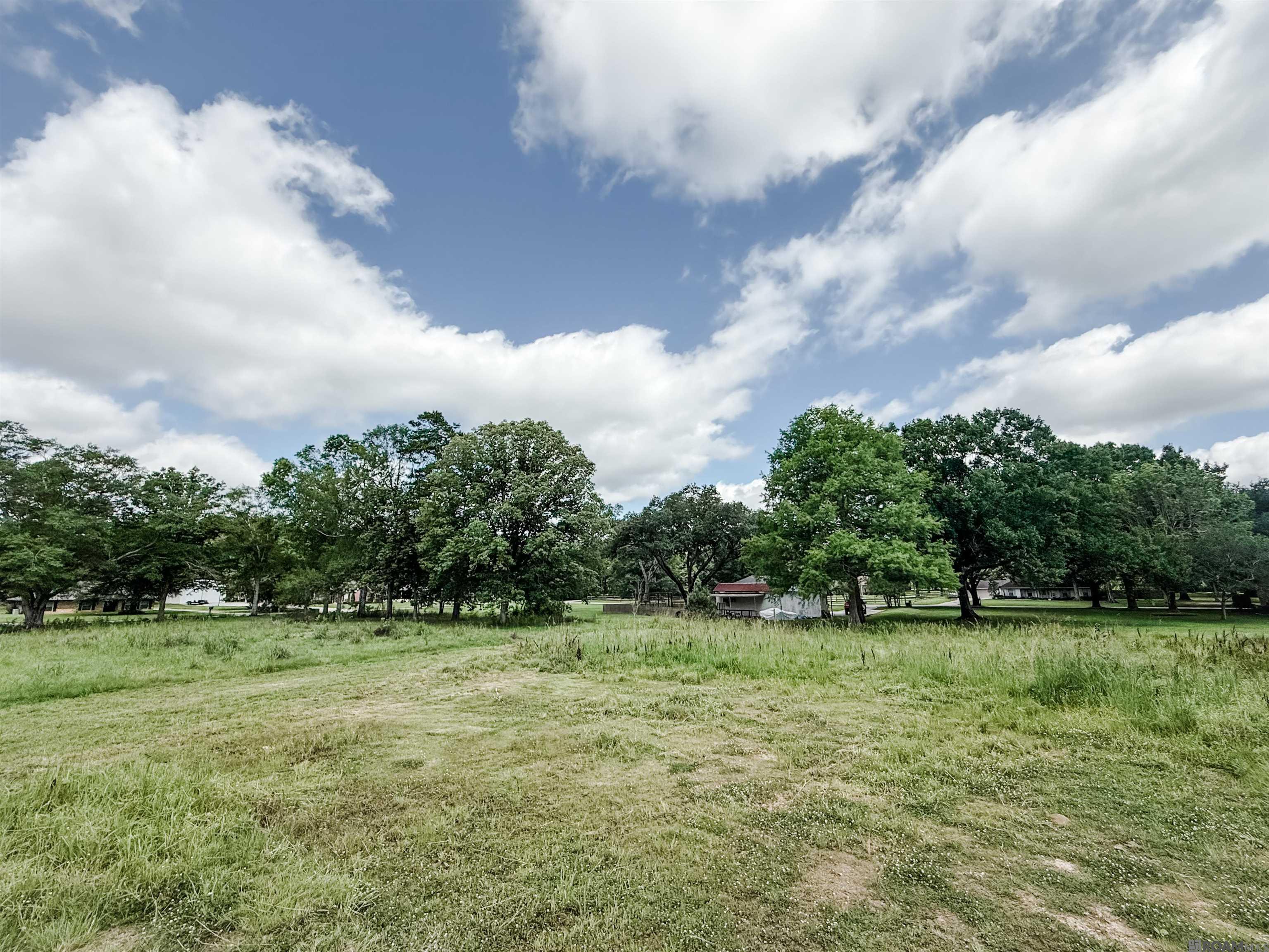 29378 S Anne Dr, Walker, LA, 70785