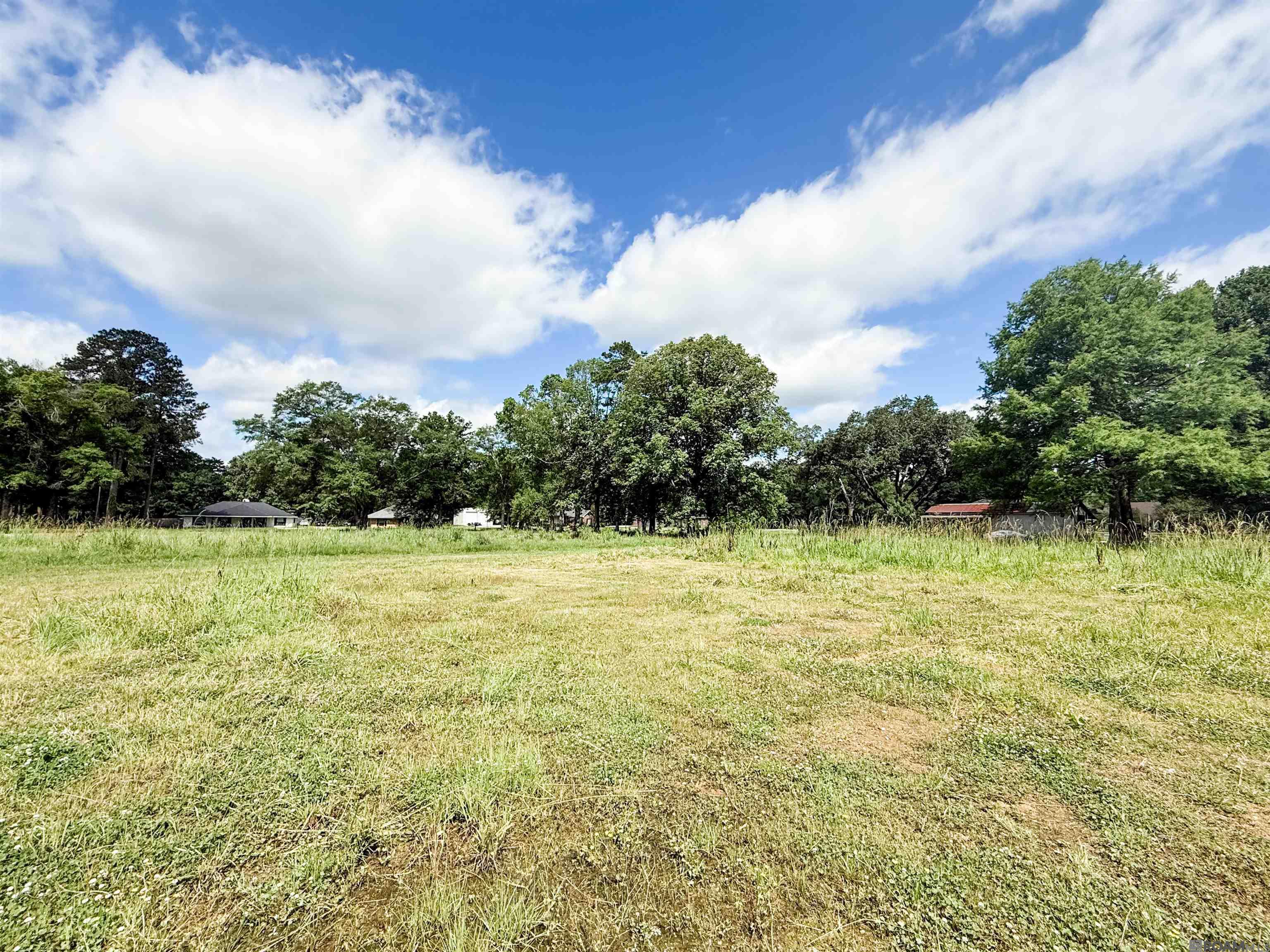 29378 S Anne Dr, Walker, LA, 70785