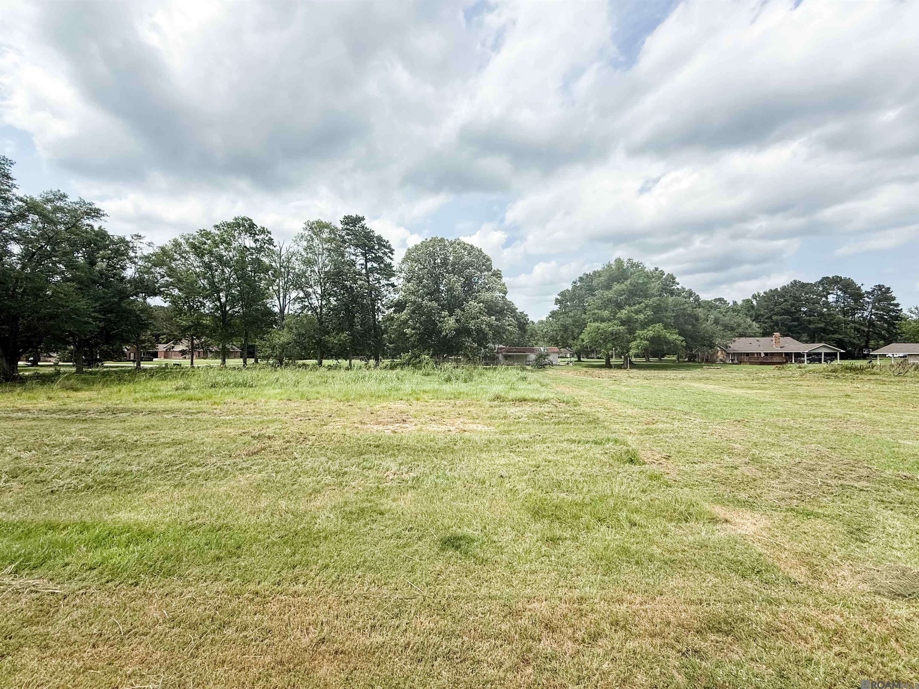 29378 S Anne Dr, Walker, LA, 70785