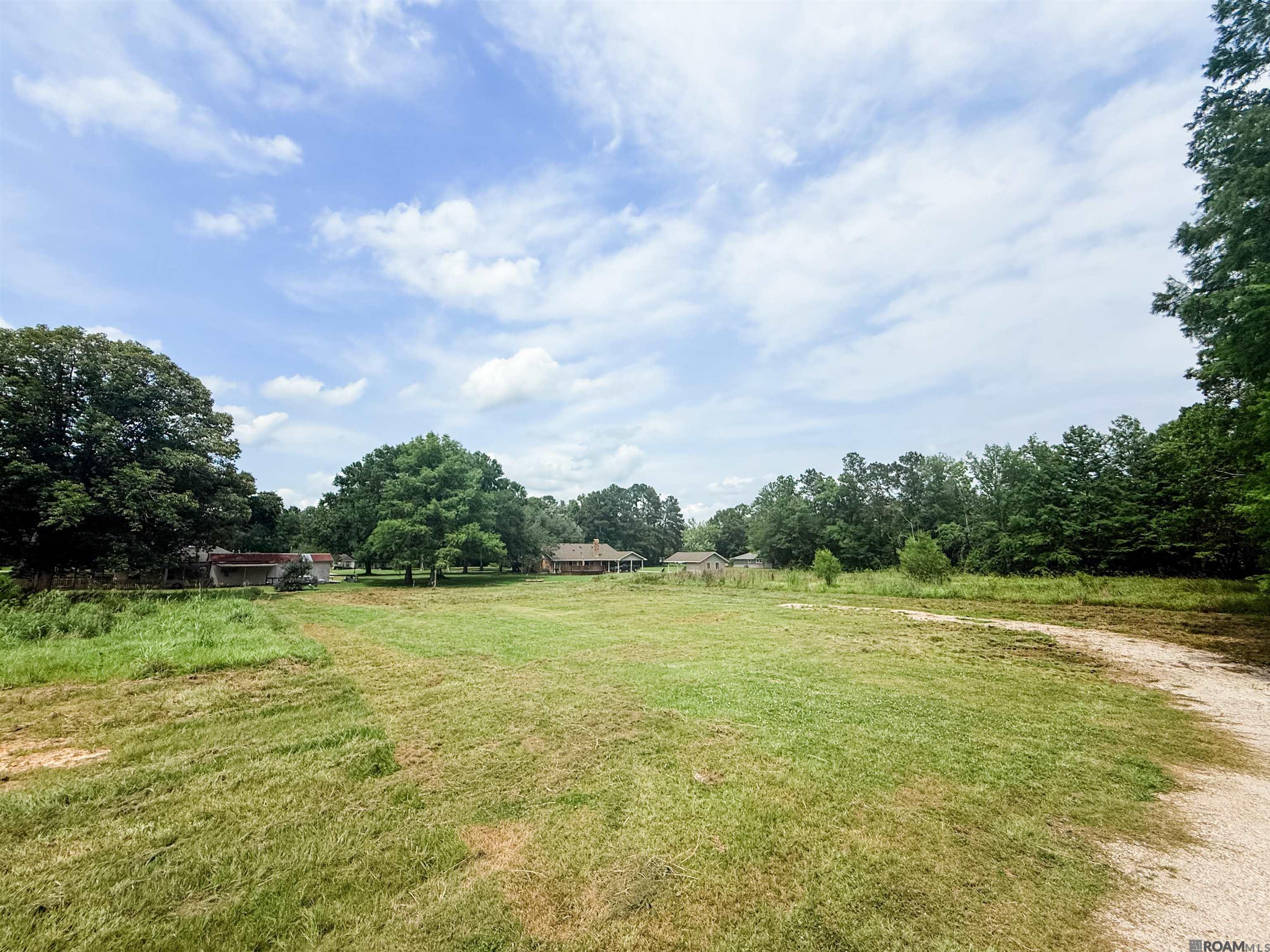 29378 S Anne Dr, Walker, LA, 70785