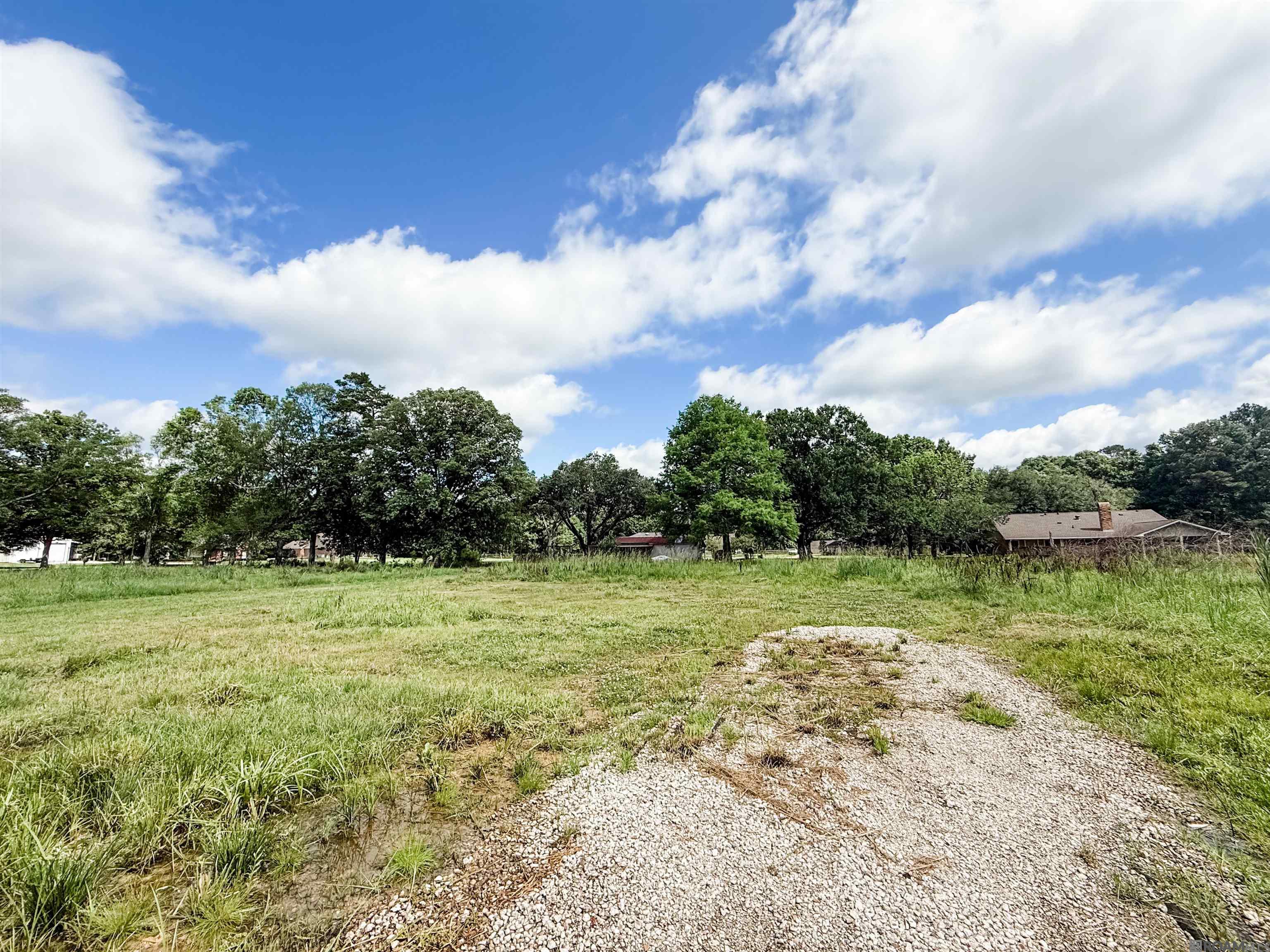 29378 S Anne Dr, Walker, LA, 70785