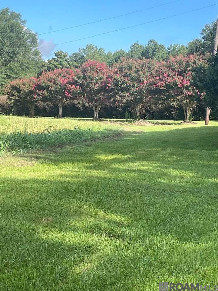 720 Anderson Rd, Amite, LA, 70422