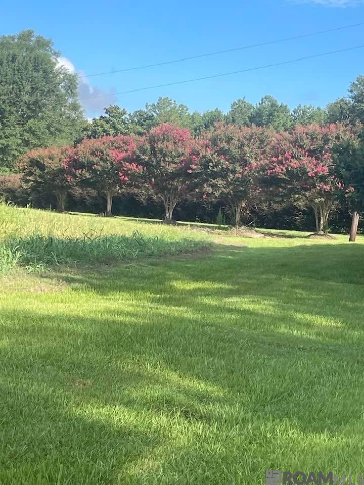 720 Anderson Rd, Amite, LA, 70422
