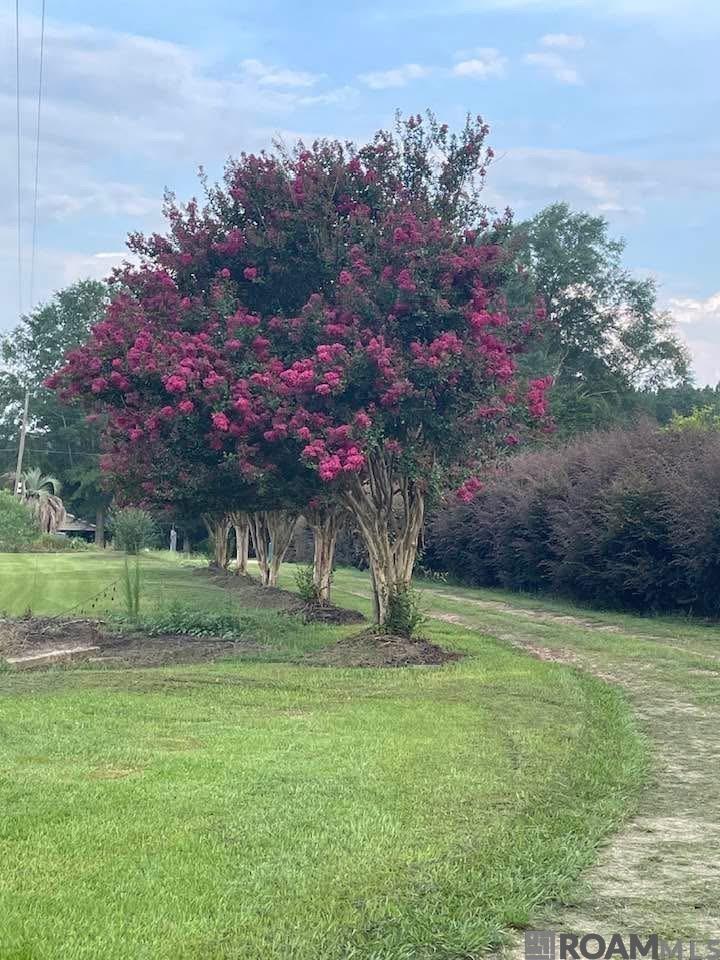 720 Anderson Rd, Amite, LA, 70422