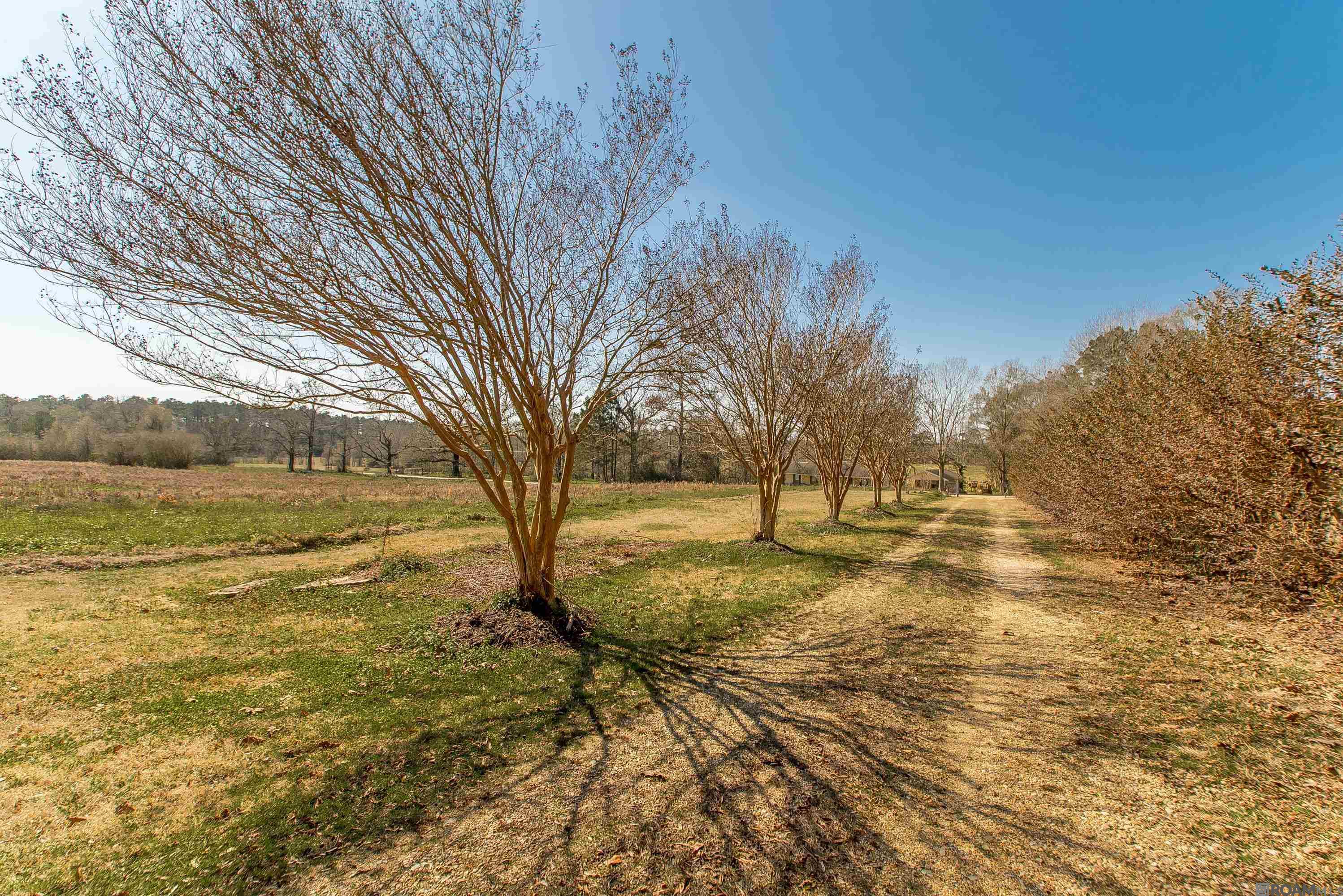 720 Anderson Rd, Amite, LA, 70422