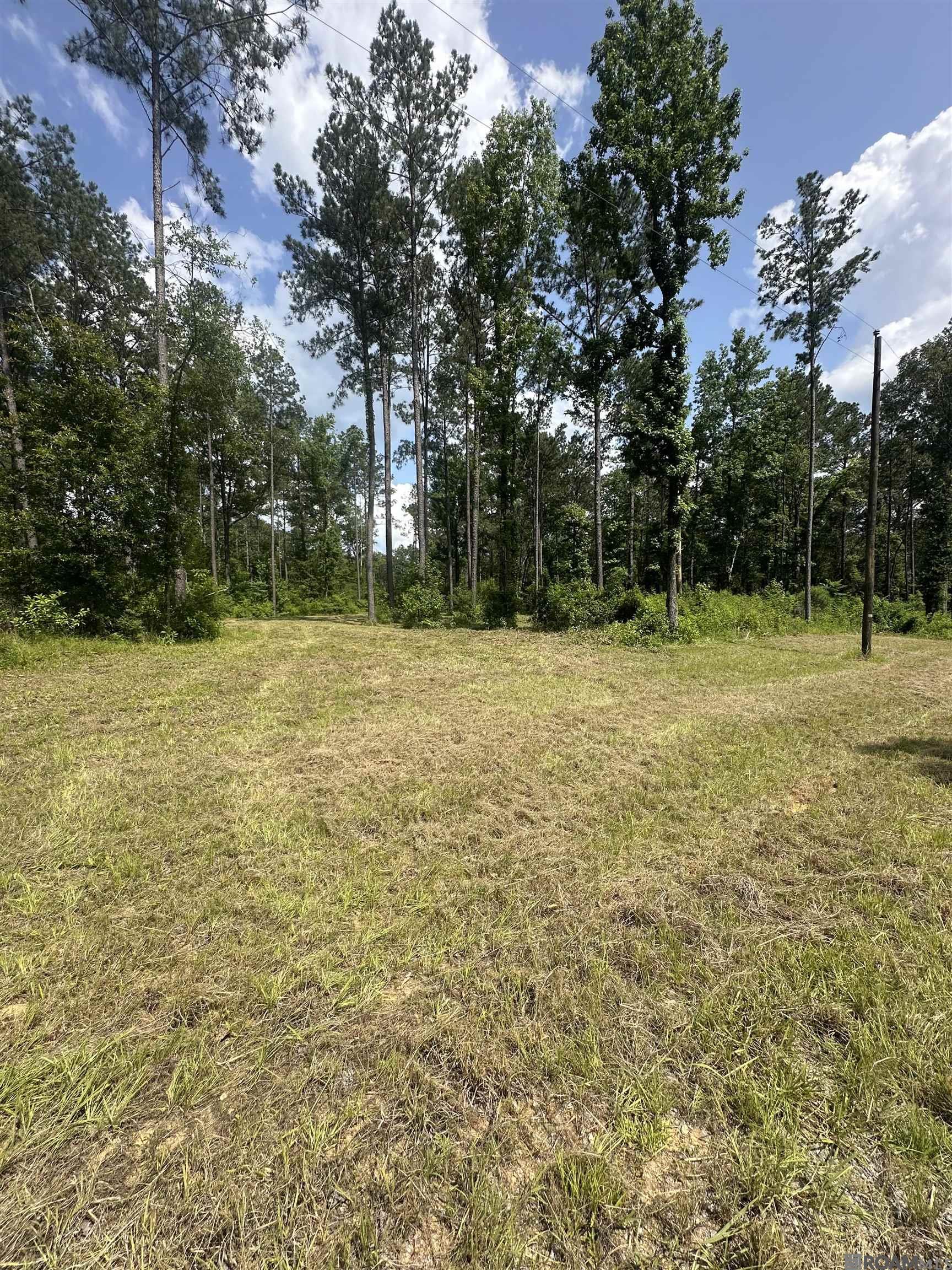 3219 Camellia Ave, Houma, LA, 70363