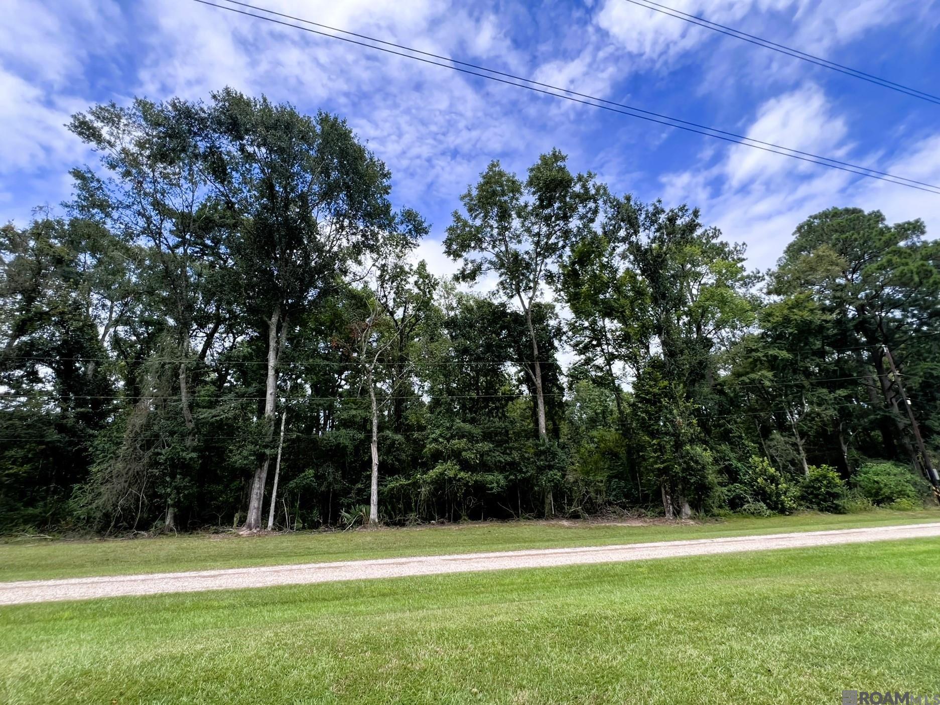 Sec29-6-3 32-6- Eden Church Rd, Denham Springs, LA, 70726