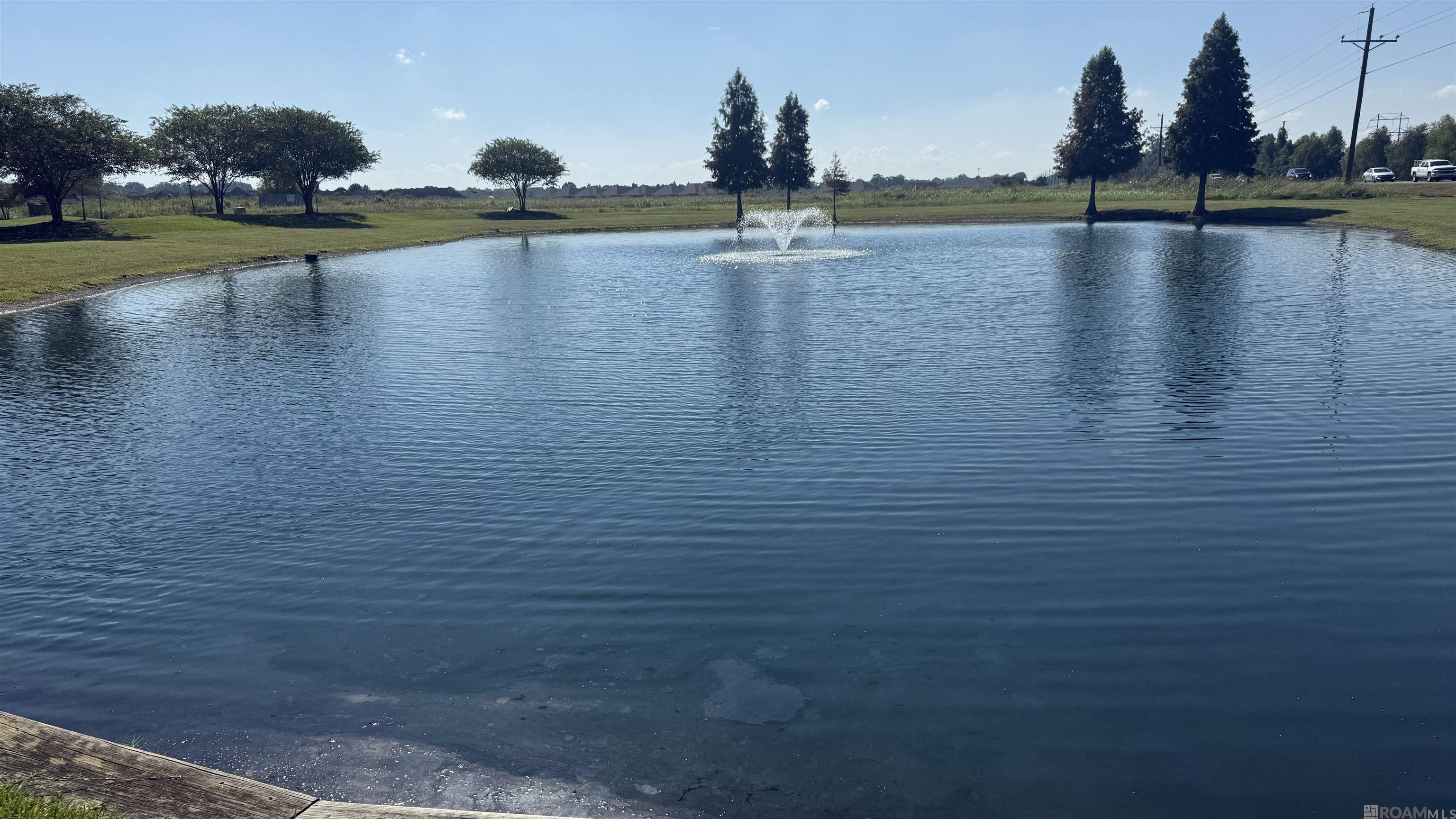 14113 Shore Beck Dr, Baton Rouge, LA, 70810