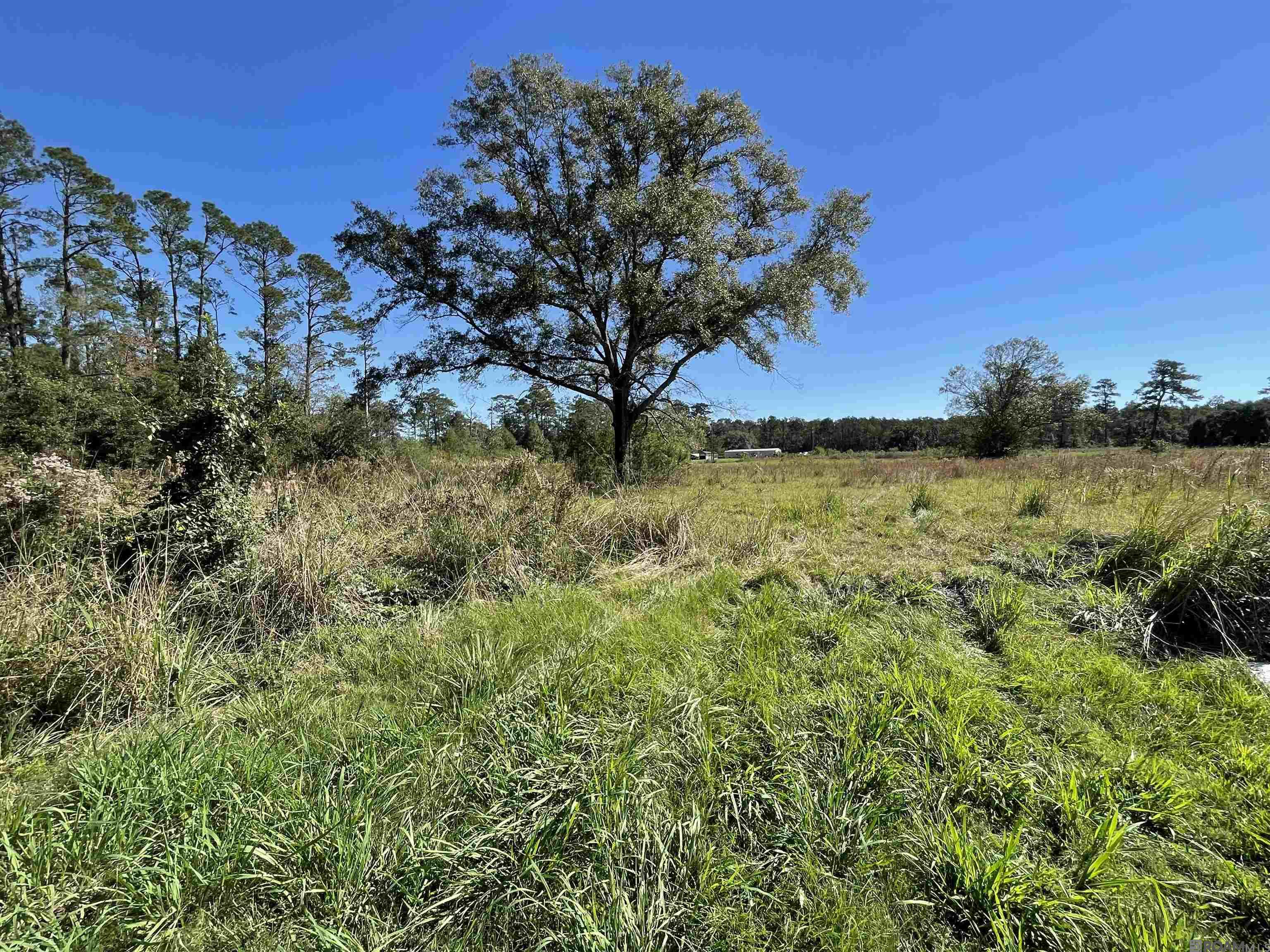 Lot 40 Sagefield Ct, Gonzales, LA, 70737