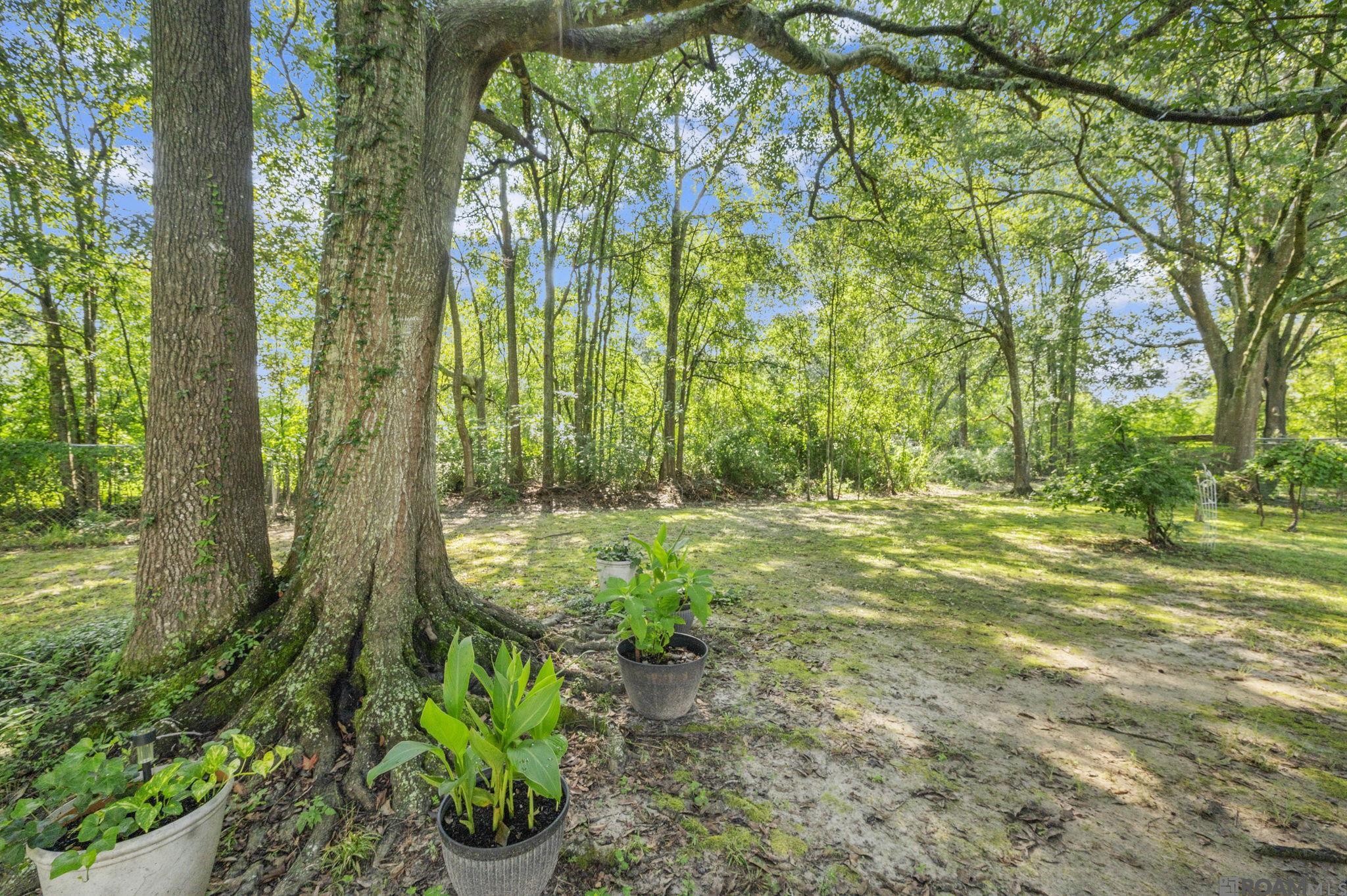 15324 E Beaver  Dr, Pride, LA, 70770