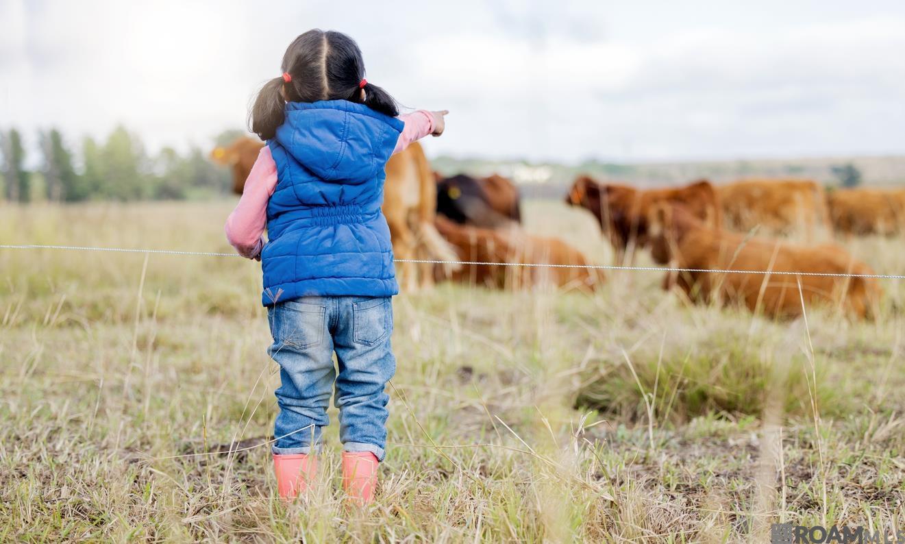 4313 Boulonnais Ave, Baton Rouge, LA, 70820