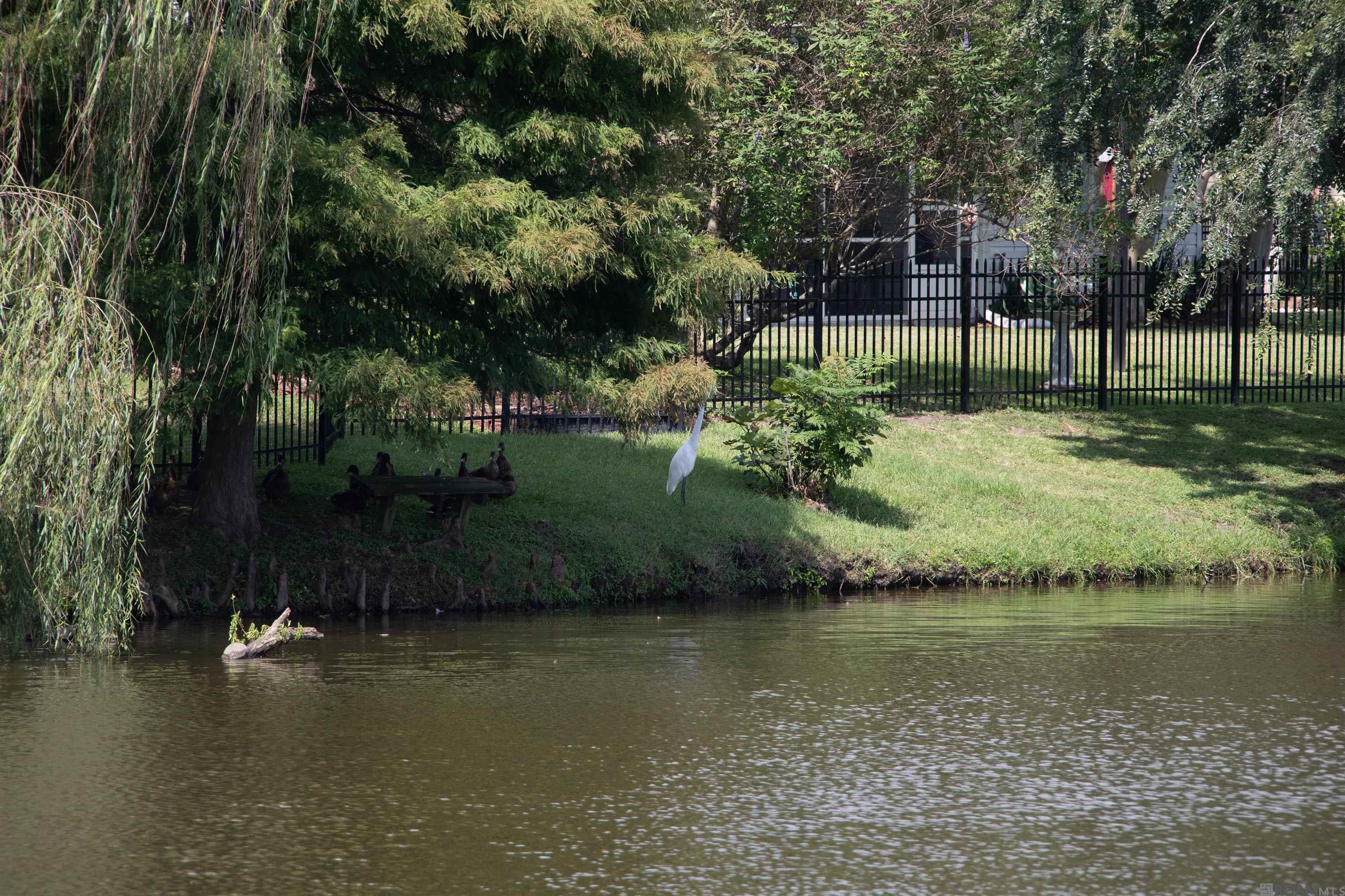 1335 Springlake Dr, Baton Rouge, LA, 70810