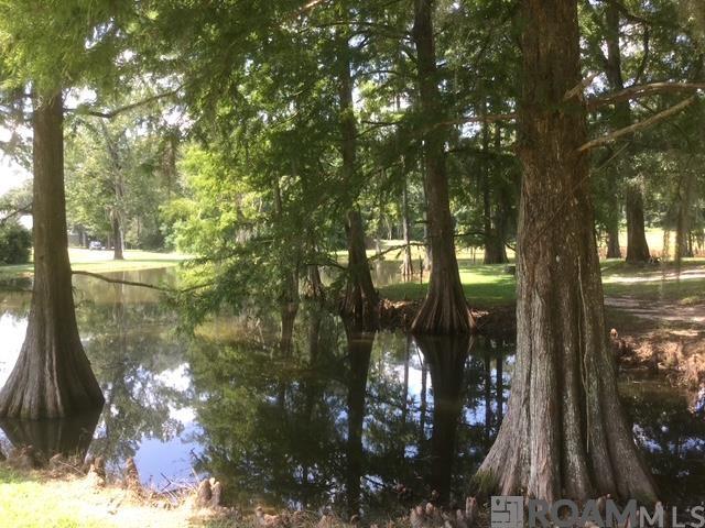 22835 La Hwy 16, Denham Springs, LA, 70726