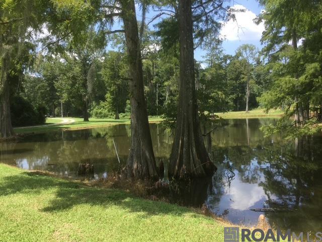 22835 La Hwy 16, Denham Springs, LA, 70726