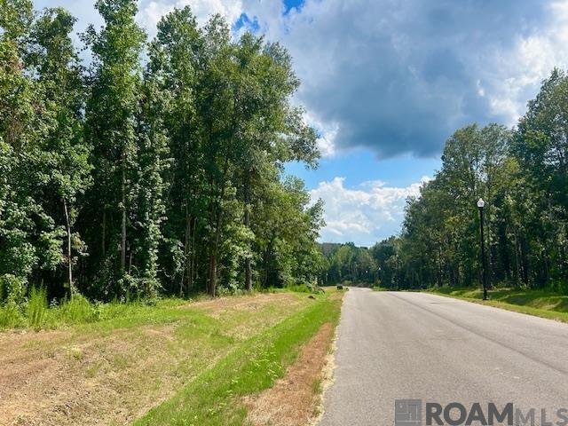 4053 Oak Run Dr, St Francisville, LA, 70775