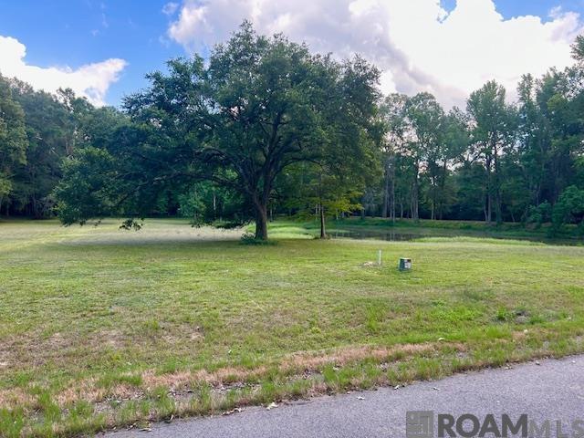 4053 Oak Run Dr, St Francisville, LA, 70775