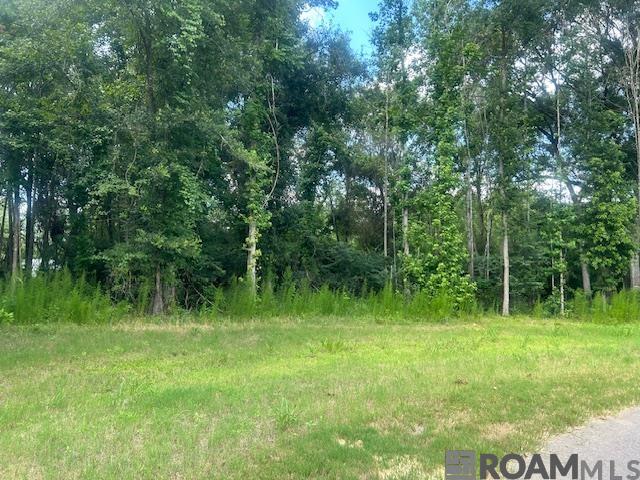 4053 Oak Run Dr, St Francisville, LA, 70775