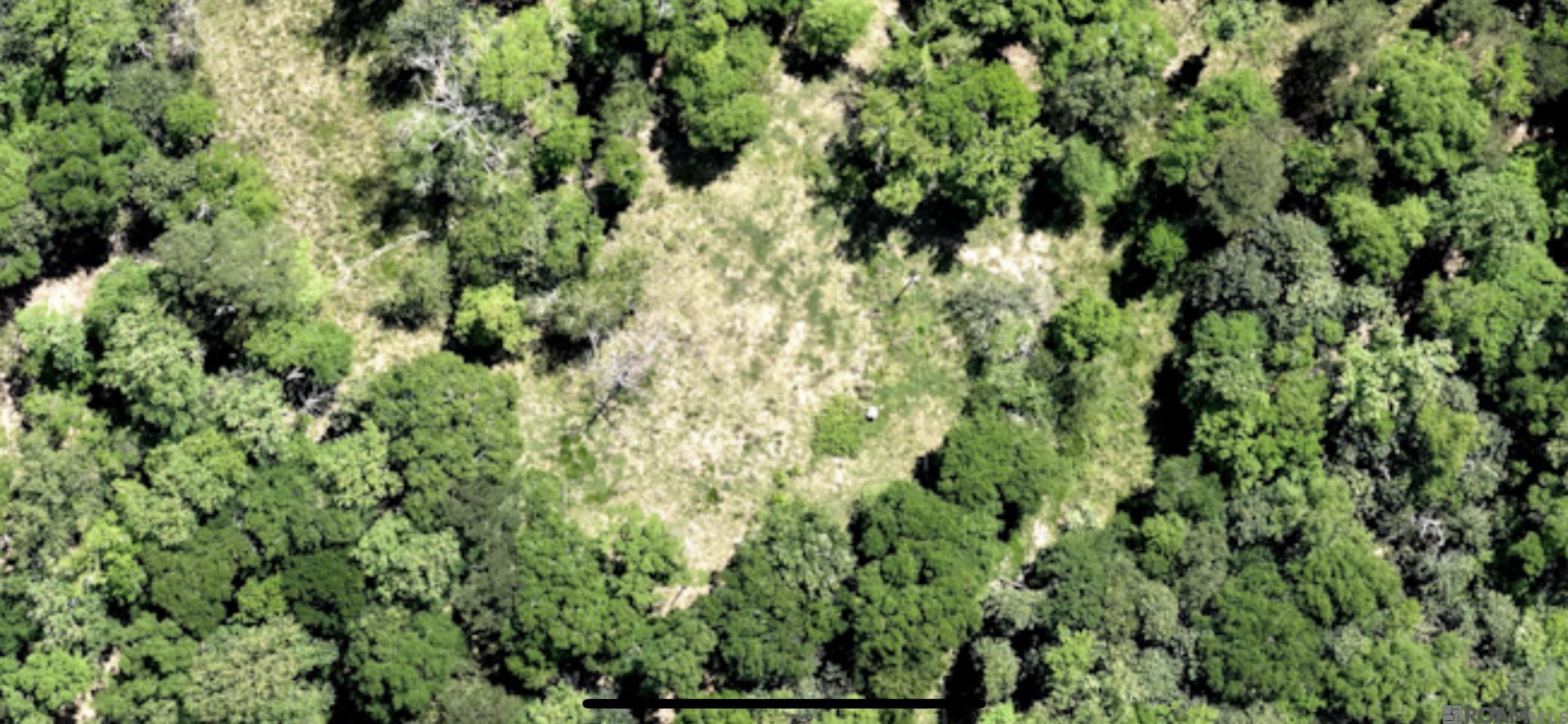 Lot 8 Honey Grove, Livingston, LA, 70754