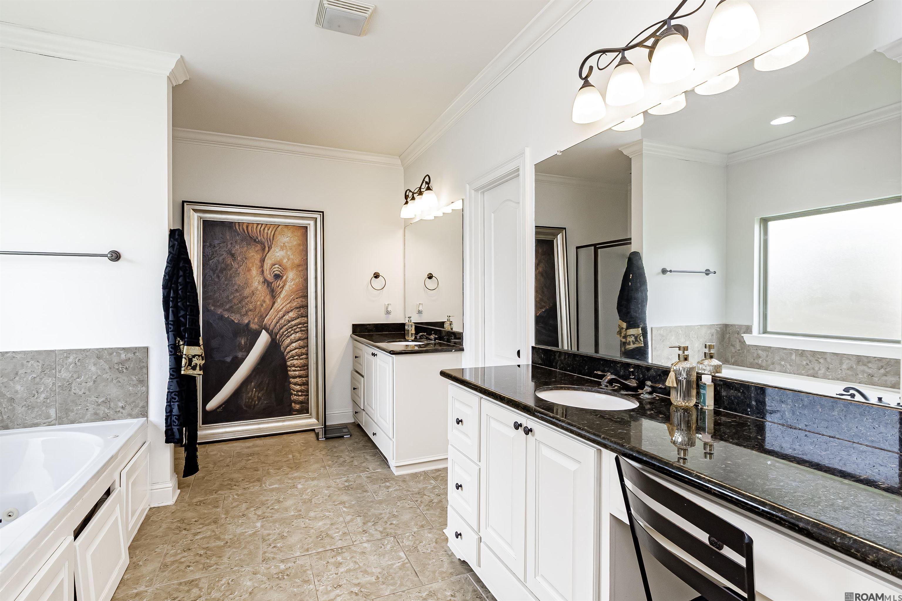 40492 Augustin Ave, Prairieville, LA, 70769