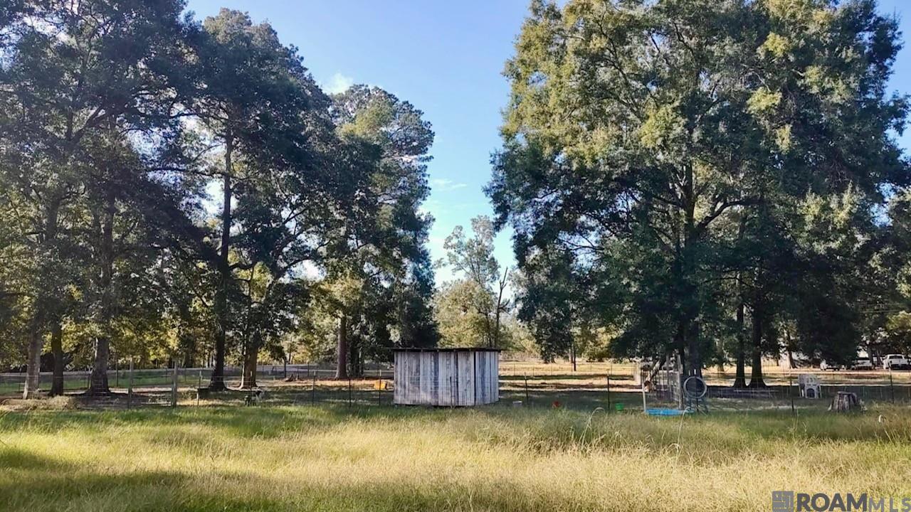 38707 John Lanier Rd, Walker, LA, 70785