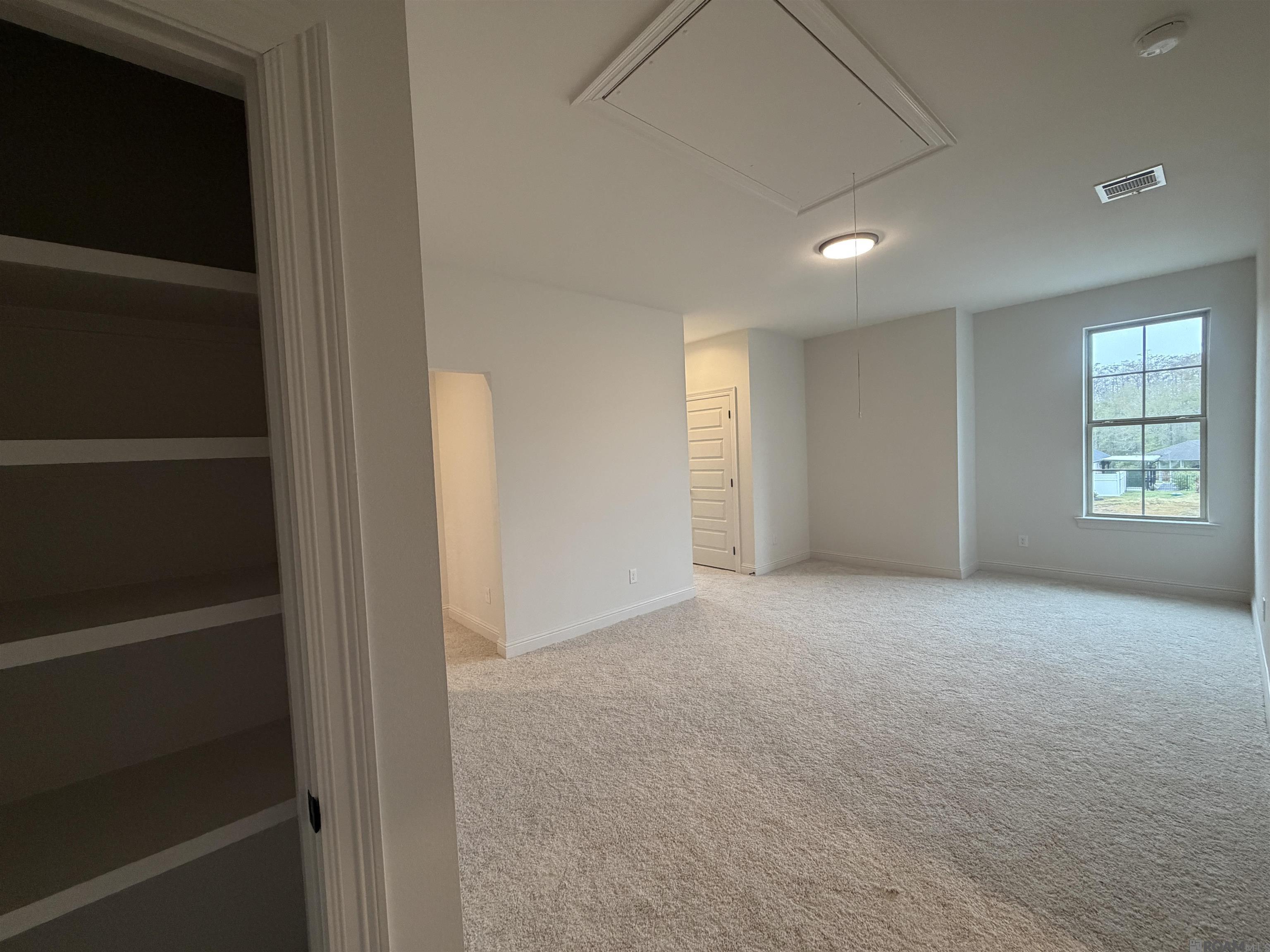 21438 Yellowfin Dr, Springfield, LA, 70462