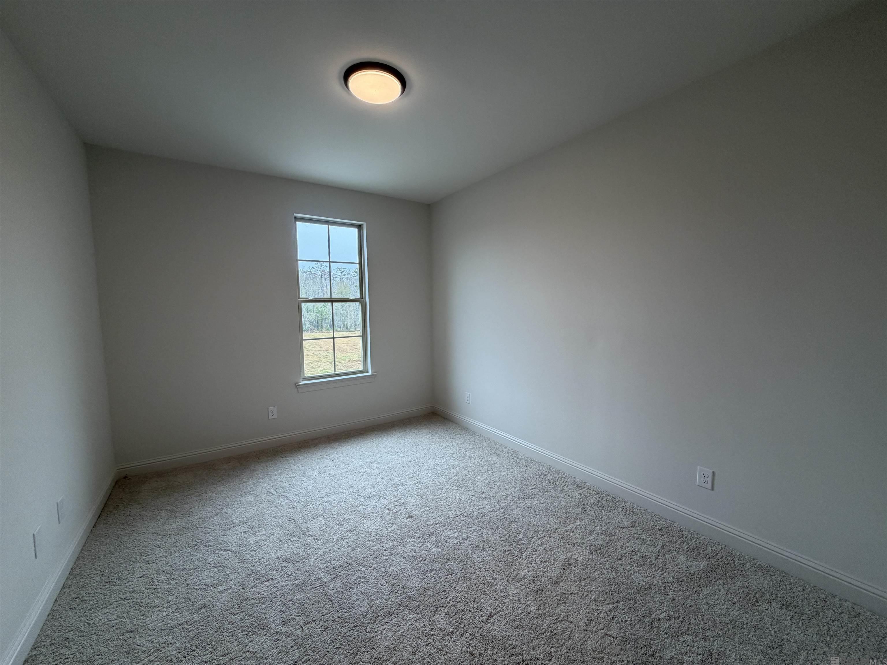 21438 Yellowfin Dr, Springfield, LA, 70462