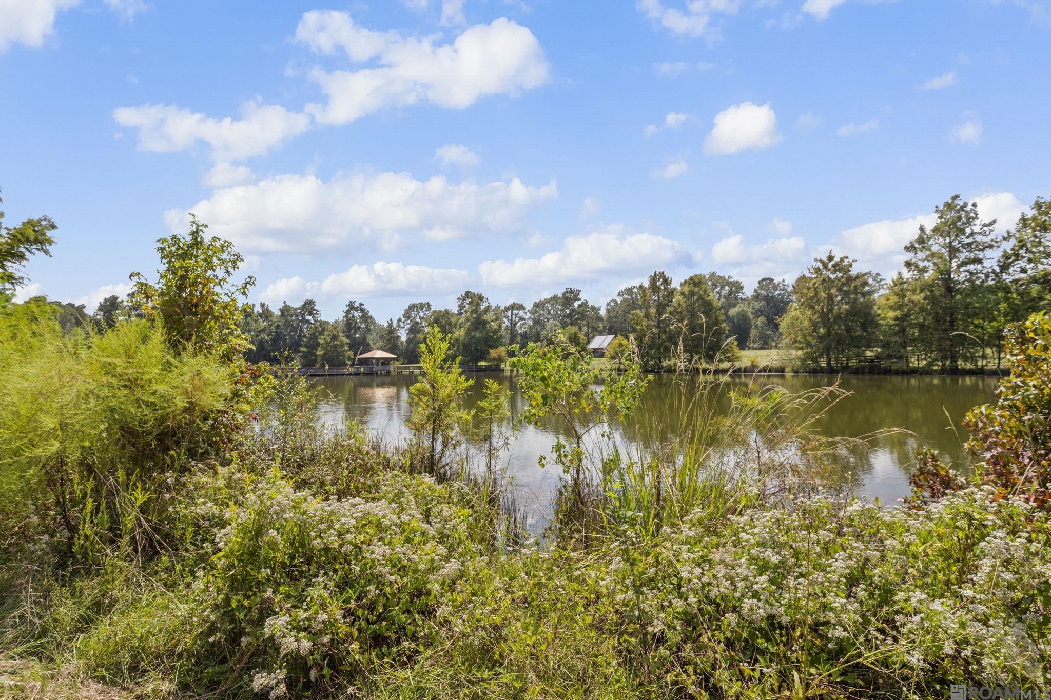 3869 Turner Rd, Ethel, LA, 70730