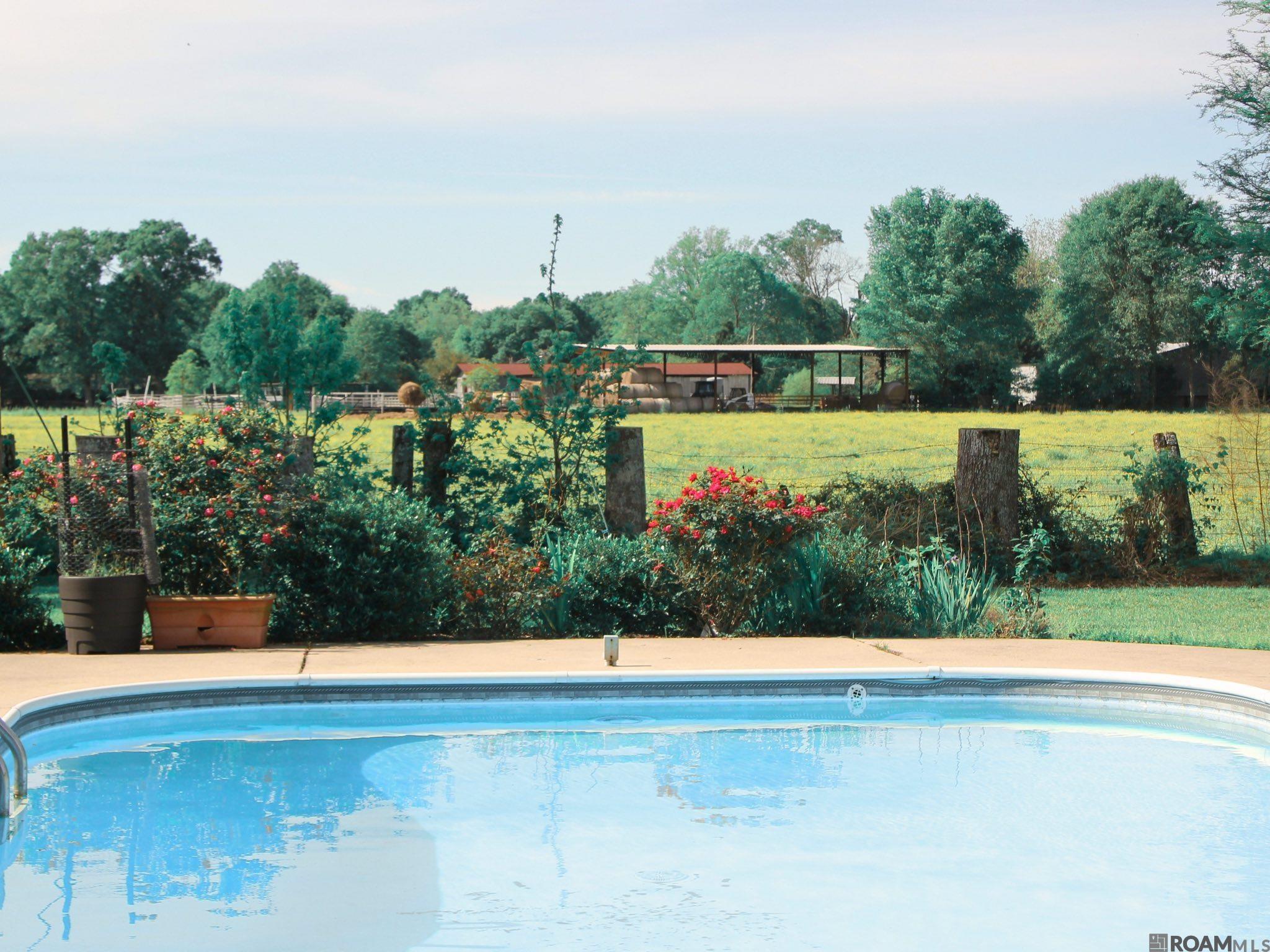 8788 Wyeth Dr, Denham Springs, LA, 70706