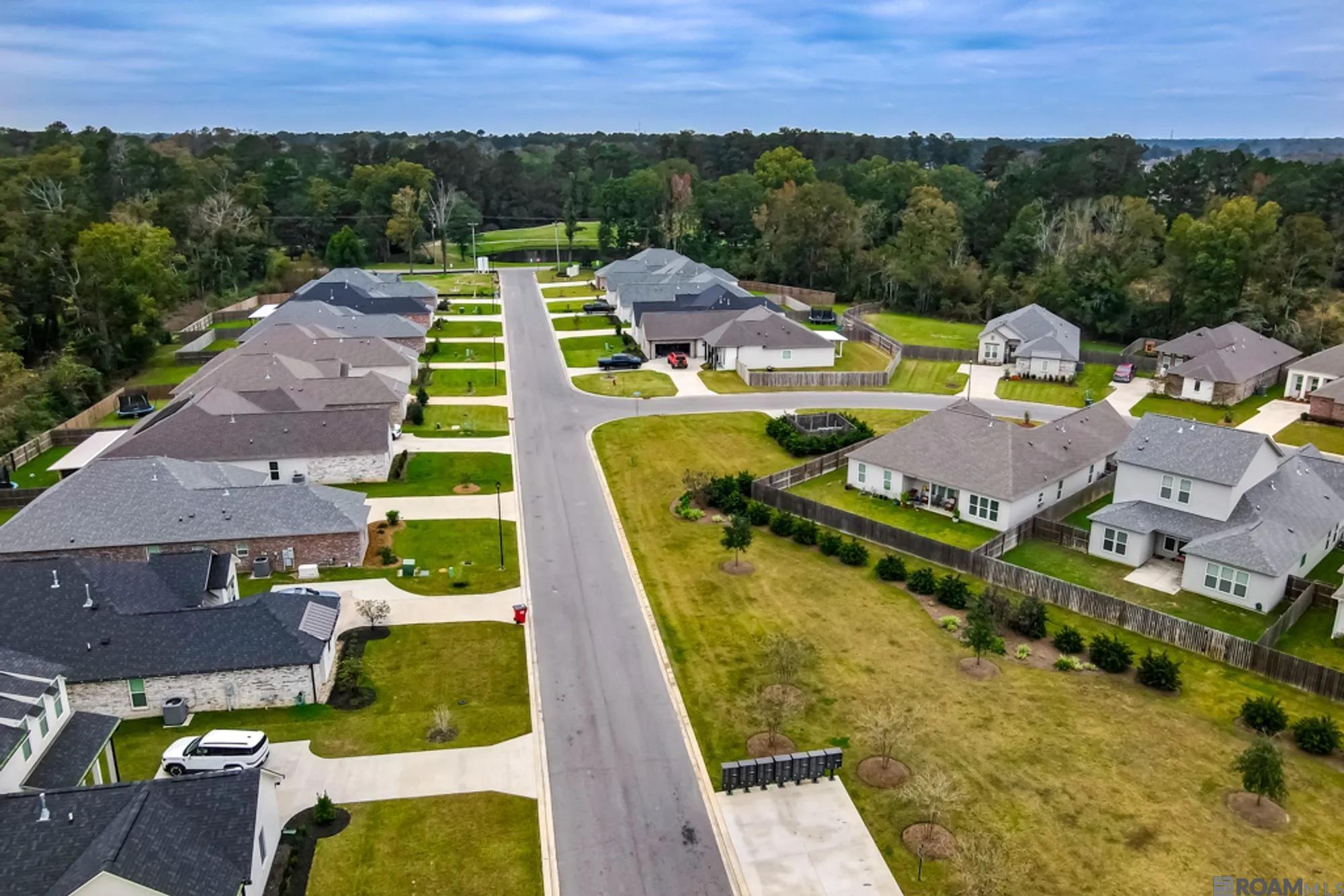 25317 Burlington Dr, Denham Springs, LA, 70726