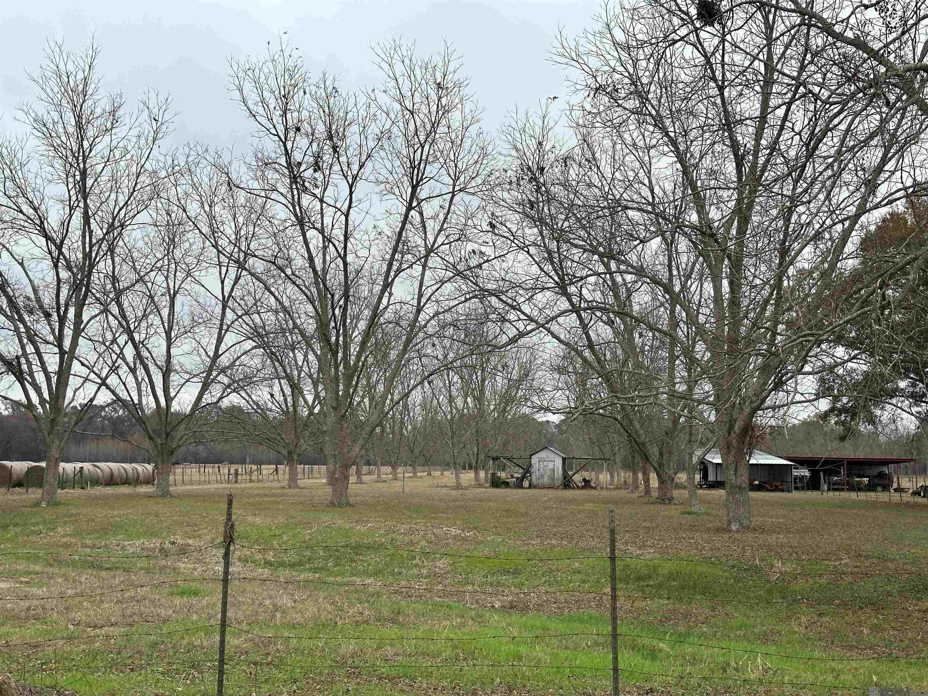 8874 Elton St, Livonia, LA, 70755