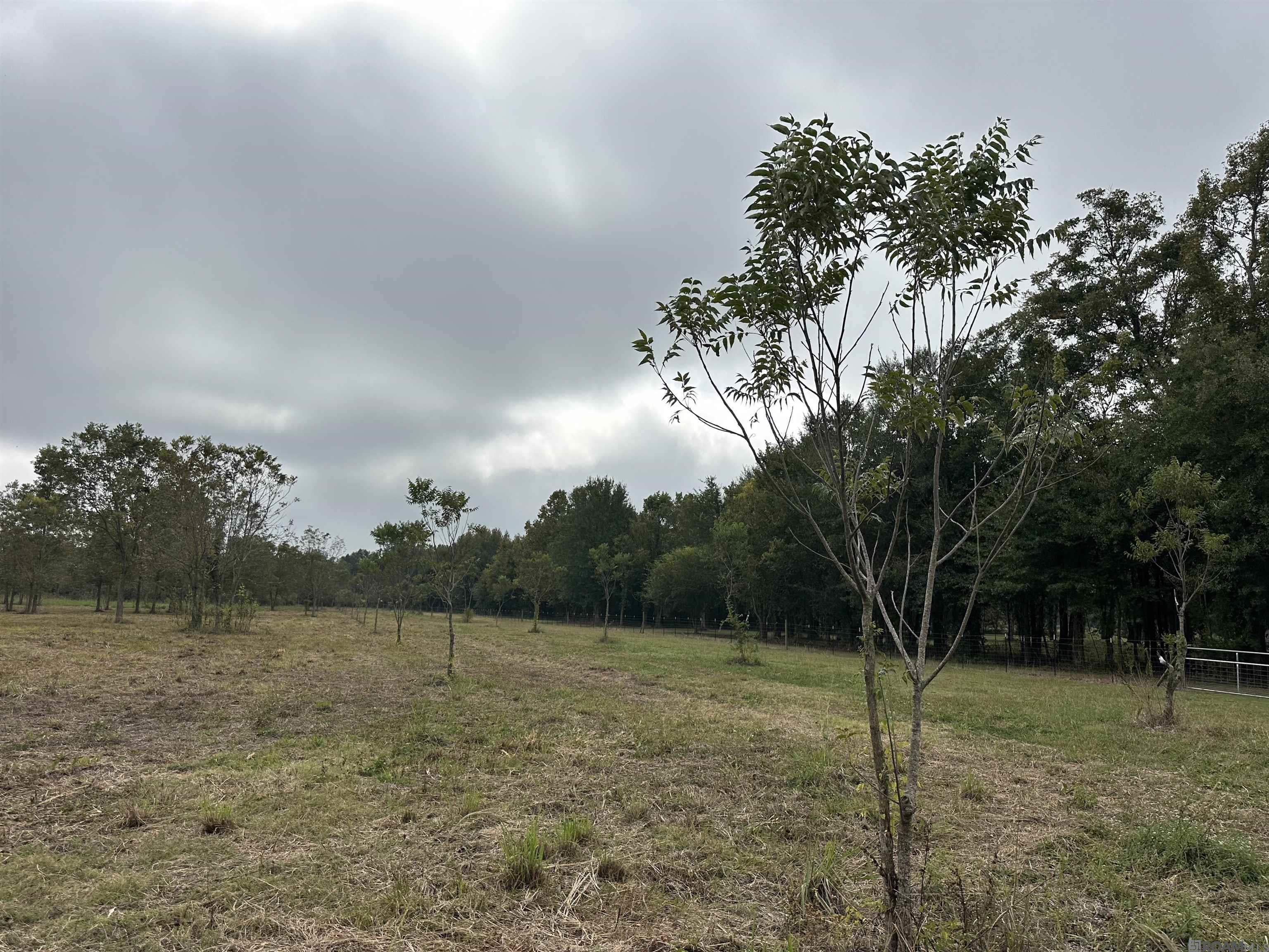 8874 Elton St, Livonia, LA, 70755