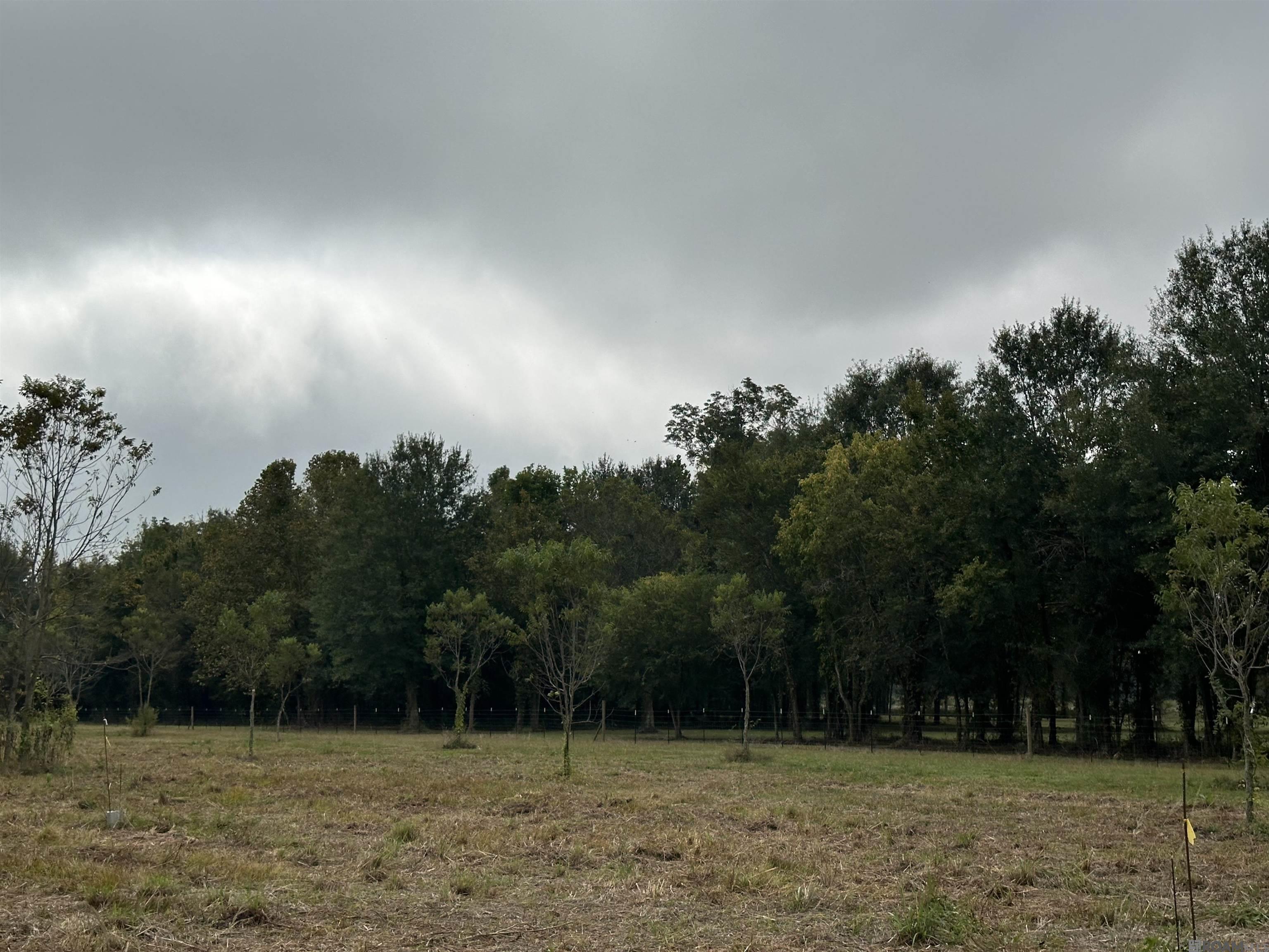 8874 Elton St, Livonia, LA, 70755