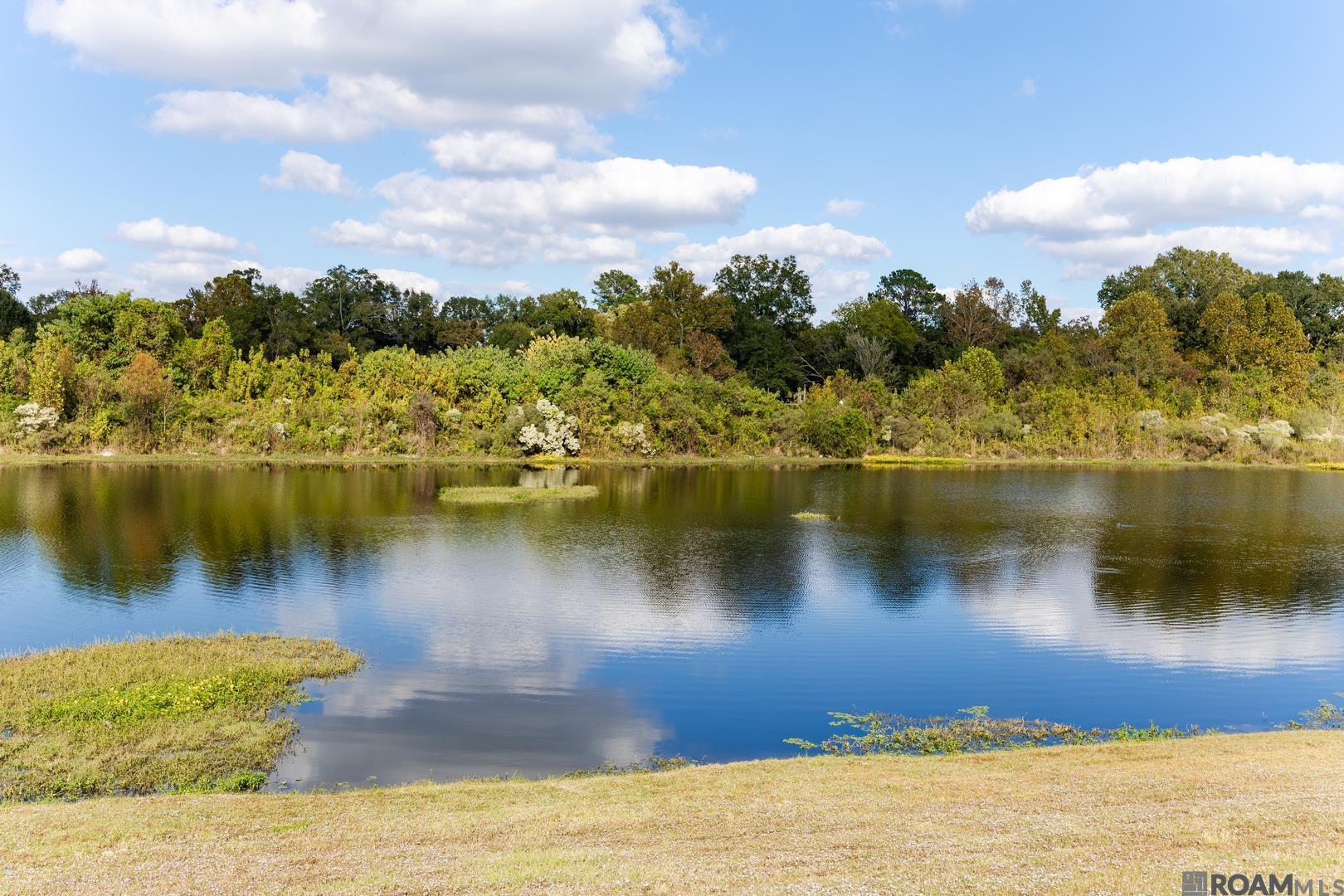 13919 Keever Ave, Baton Rouge, LA, 70817