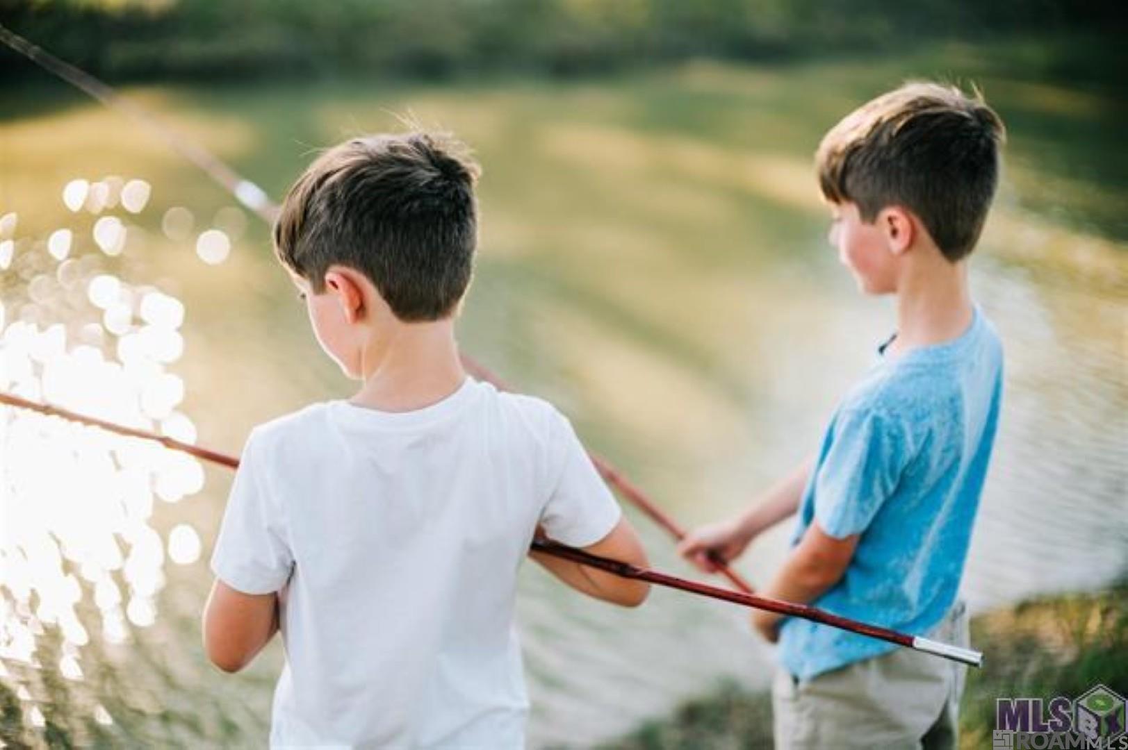 13715 Sweet Cherry Dr, Baton Rouge, LA, 70810