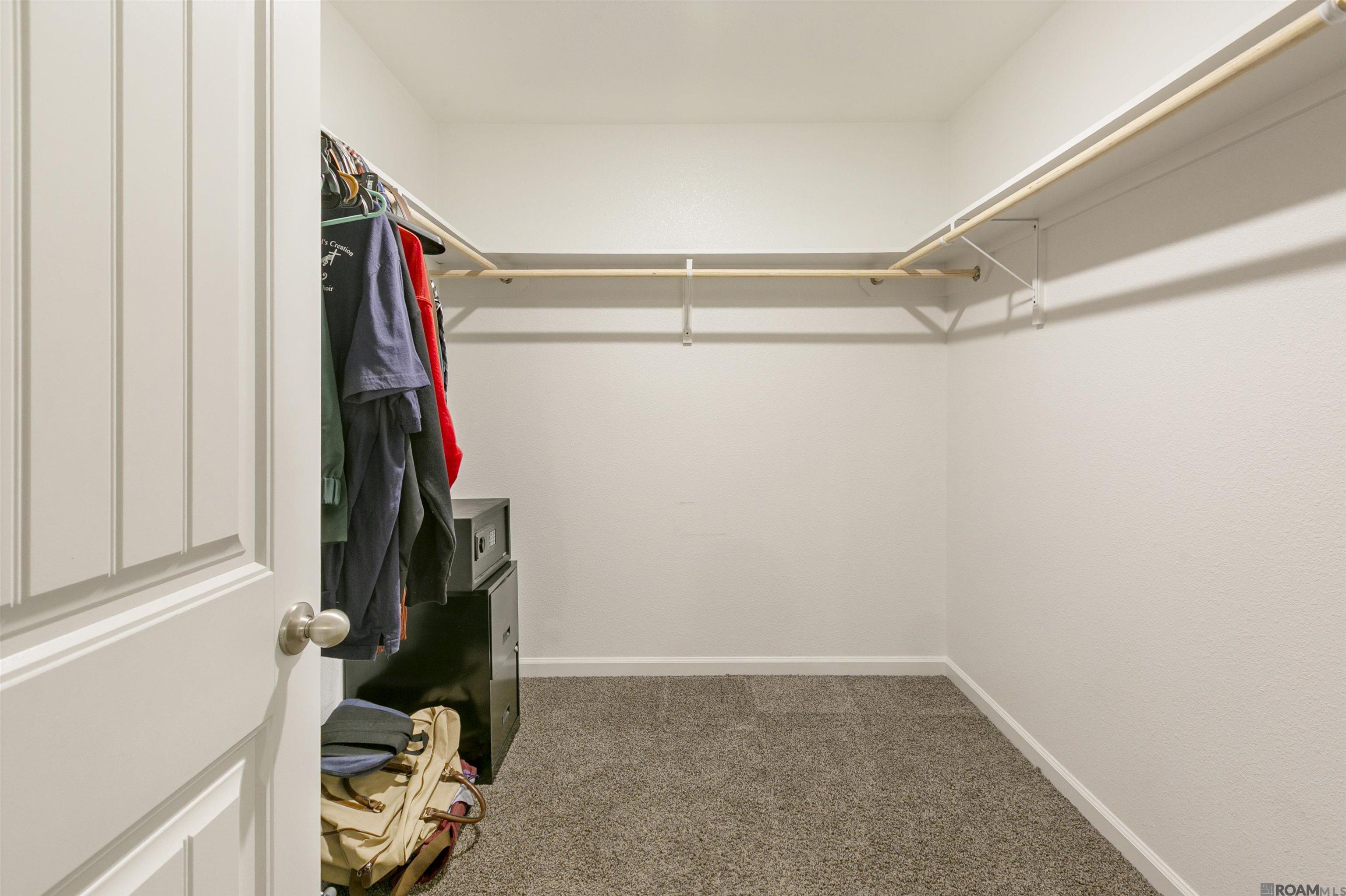 12786 Catalpa Ave, Denham Springs, LA, 70726