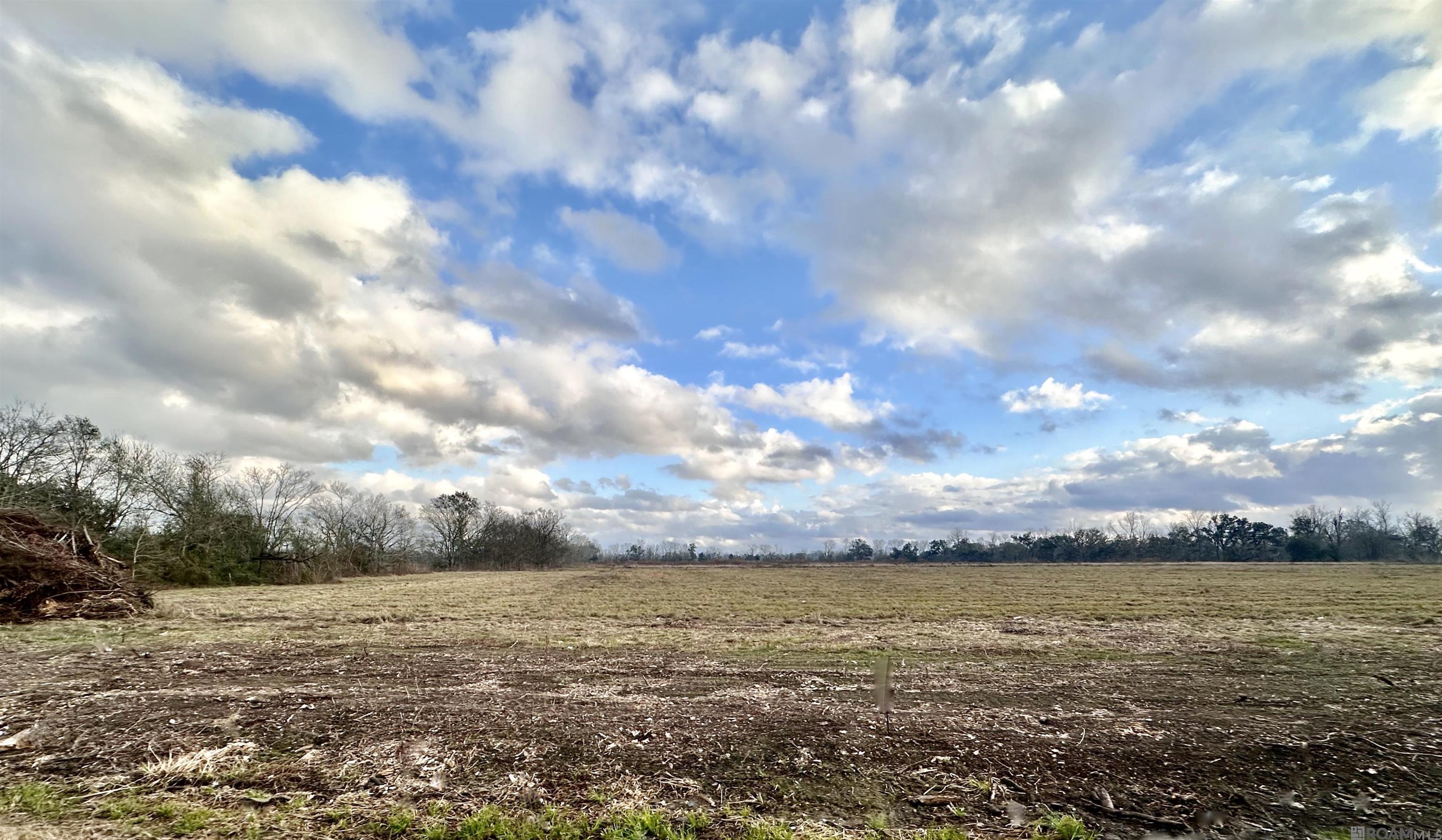 Lot UNIT&nbsp;8-A La Hwy 22, Darrow, LA, 70725