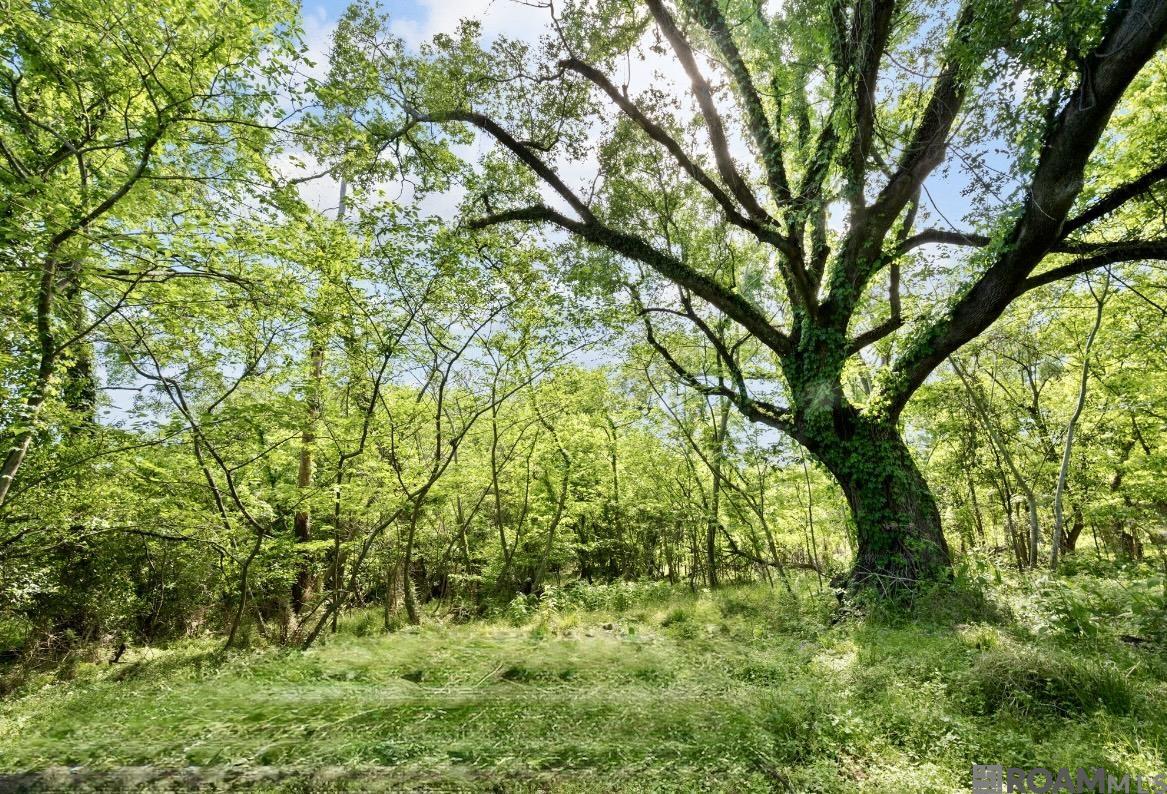 7122 Highland, Baton Rouge, LA, 70808