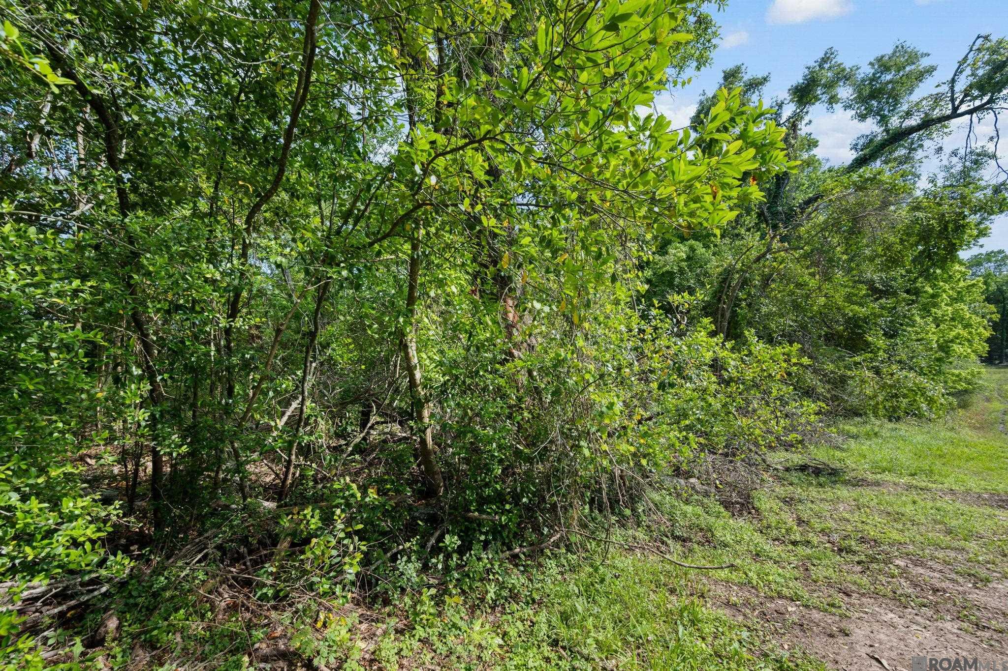 7122 Highland, Baton Rouge, LA, 70808