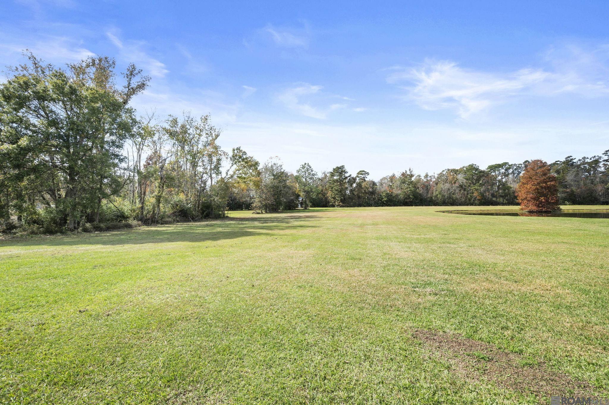 22553 Green Acres Blvd, Denham Springs, LA, 70726