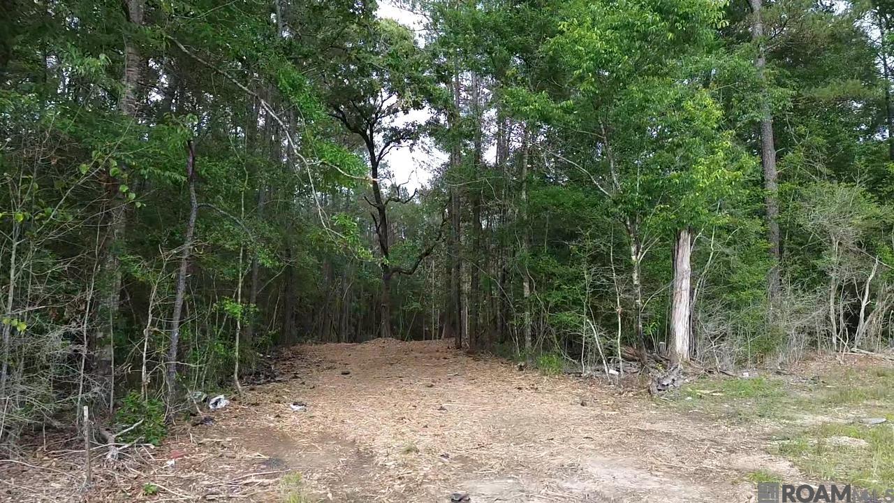 1129 La Hwy 1, Donaldsonville, LA, 70346