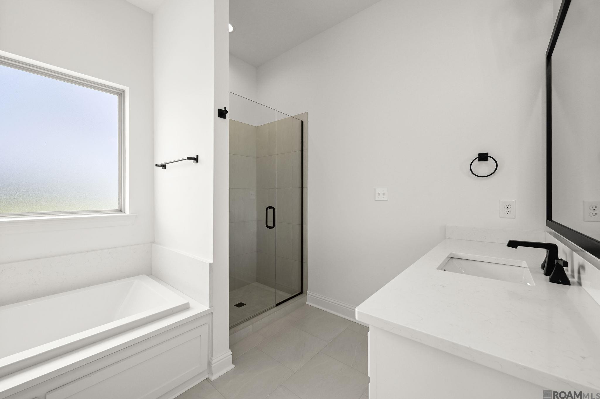 37253 Buckmeadow Avenue, Prairieville, LA, 70769