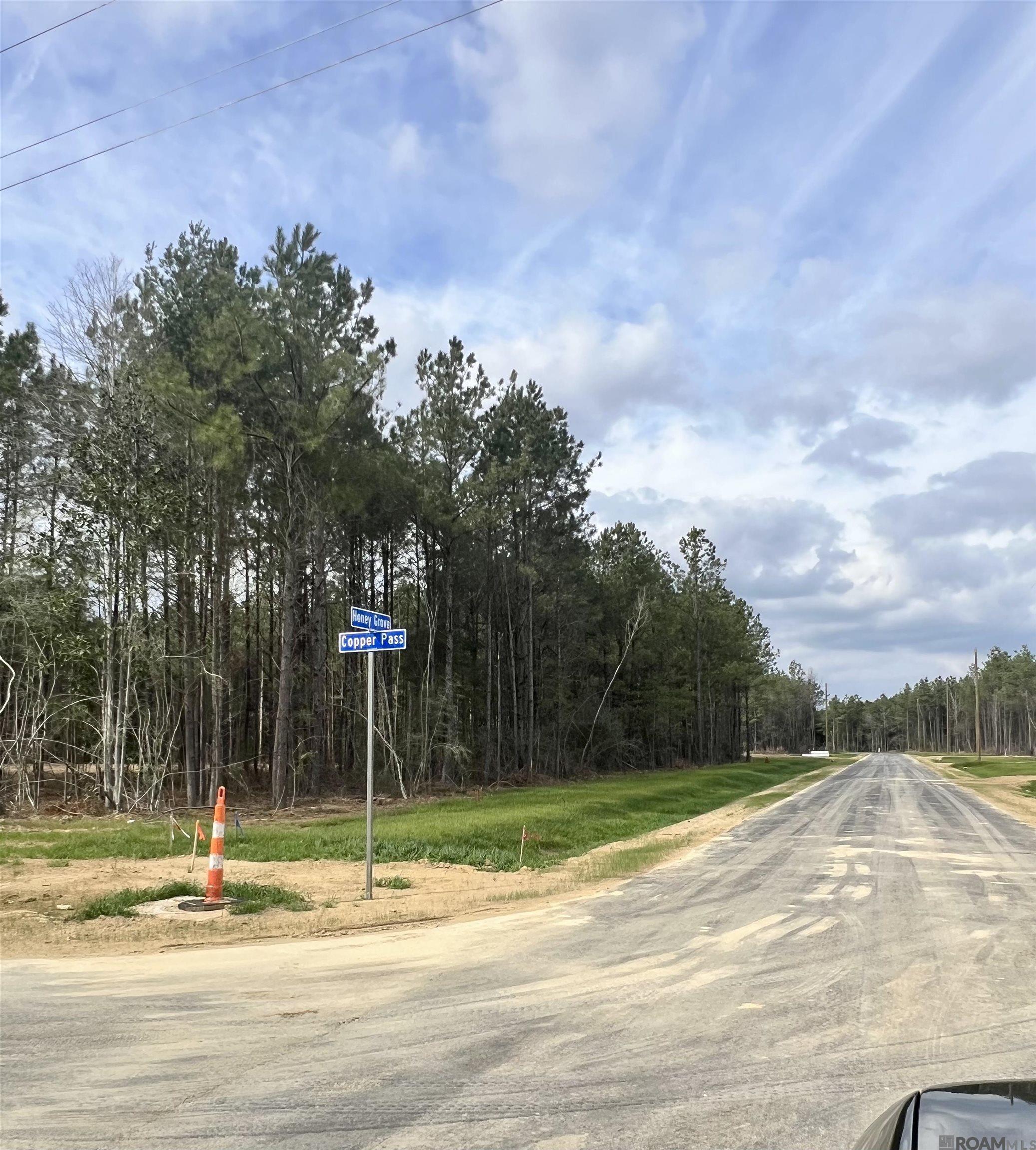 Lot 31 Copper Pass, Livingston, LA, 70754