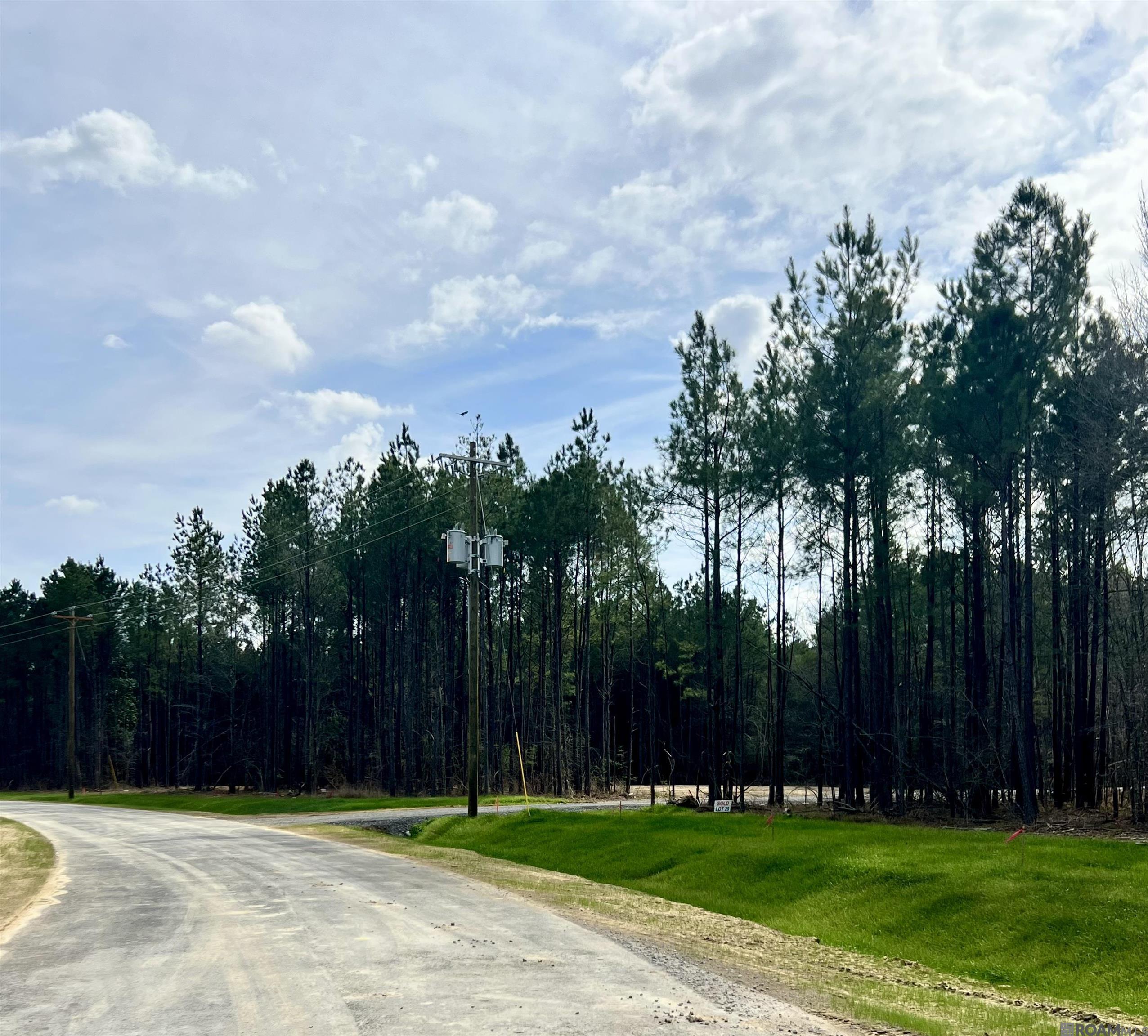 Lot 20 Honey Grove, Livingston, LA, 70754