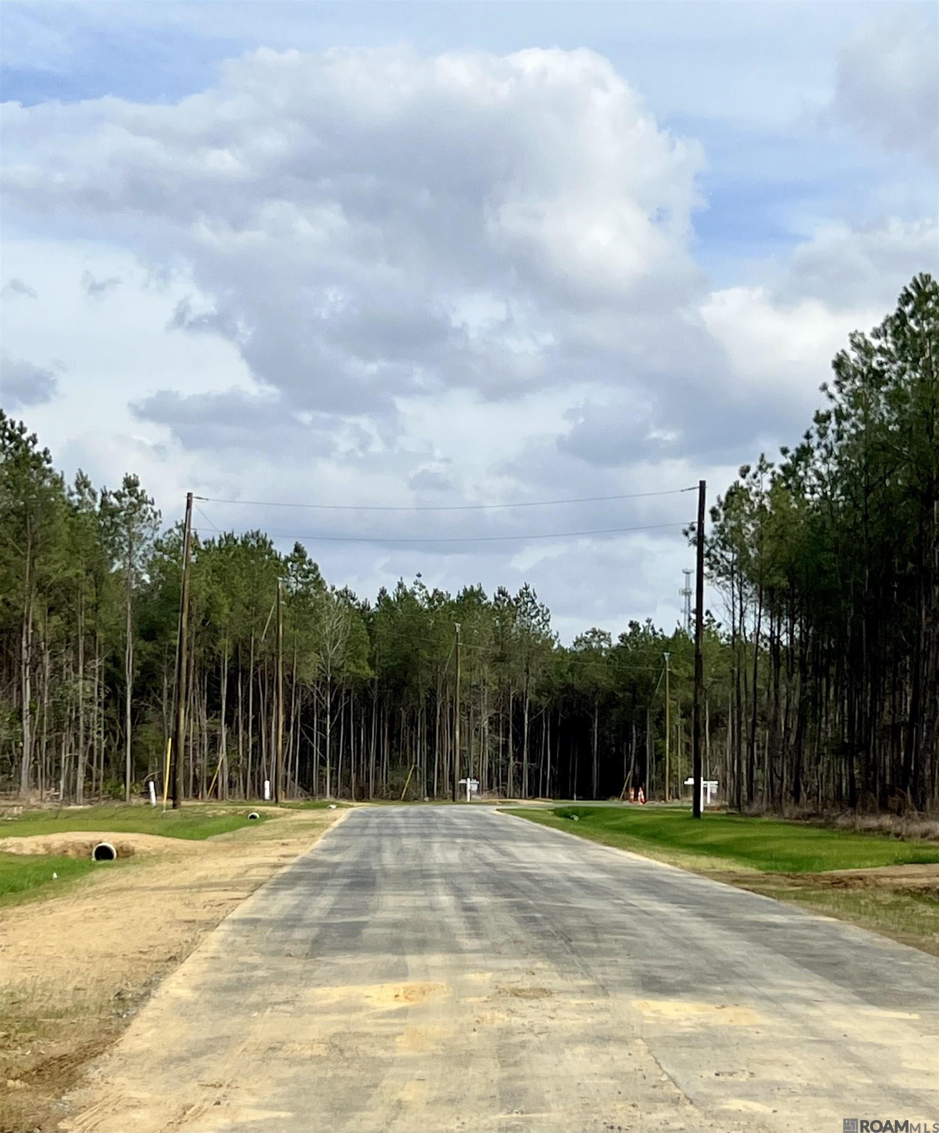 Lot 20 Honey Grove, Livingston, LA, 70754