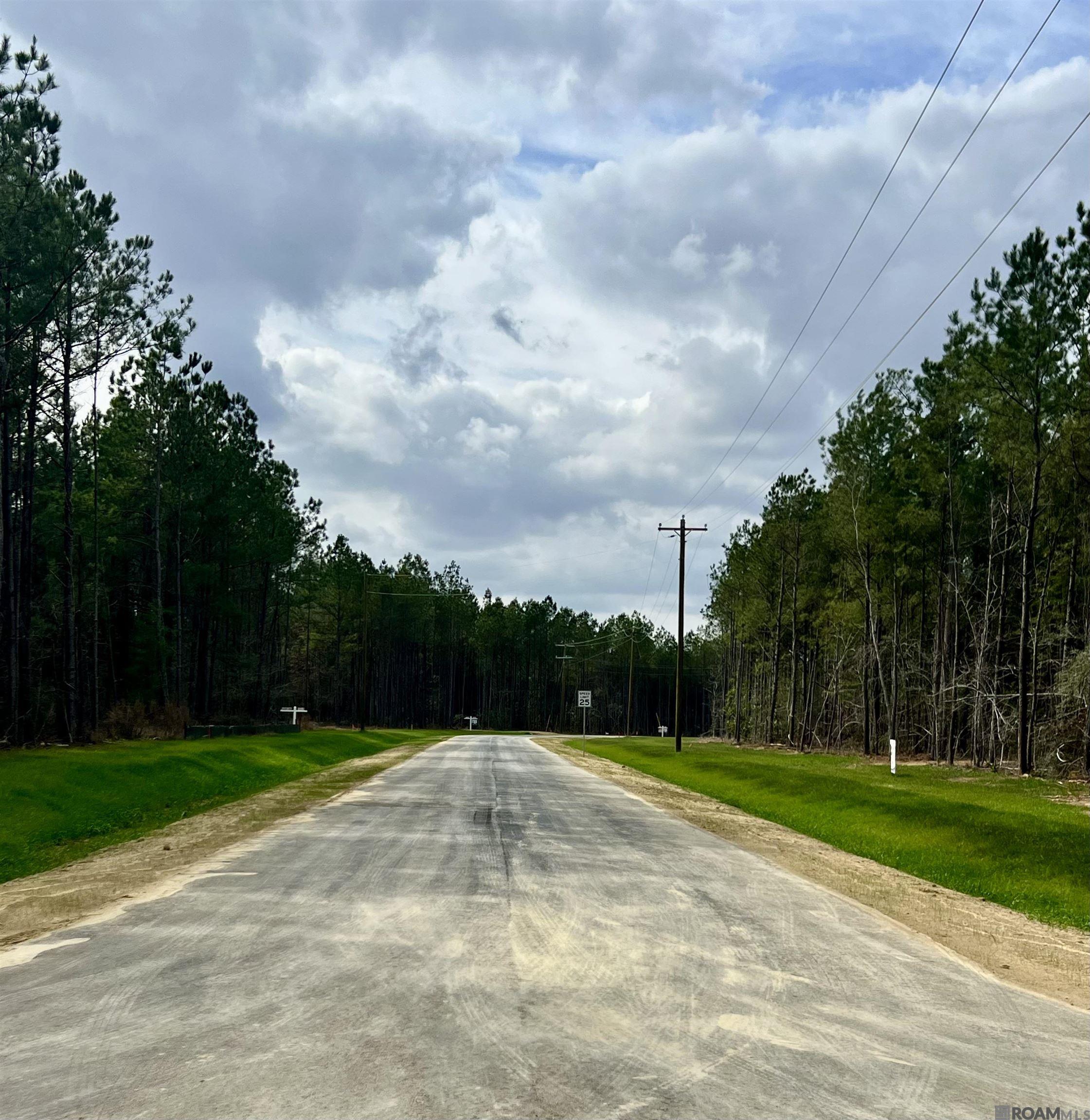 Lot 20 Honey Grove, Livingston, LA, 70754