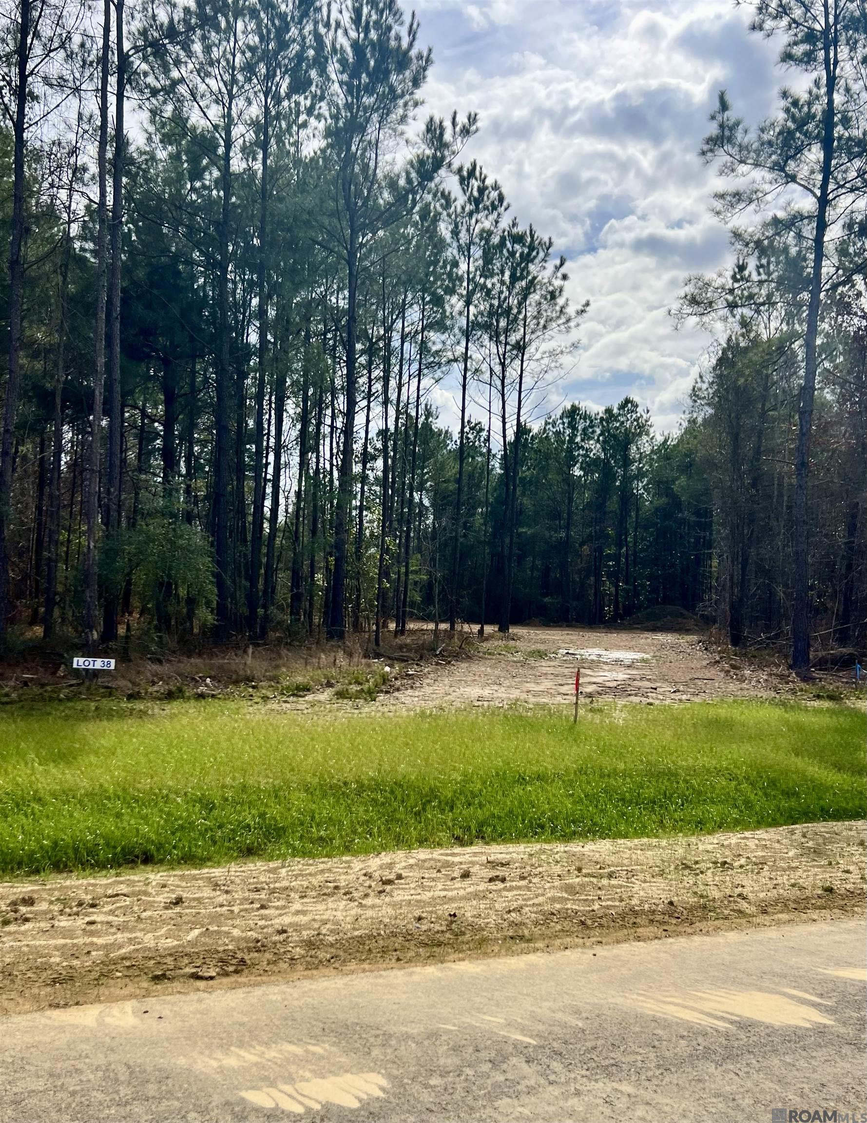 Lot 20 Honey Grove, Livingston, LA, 70754