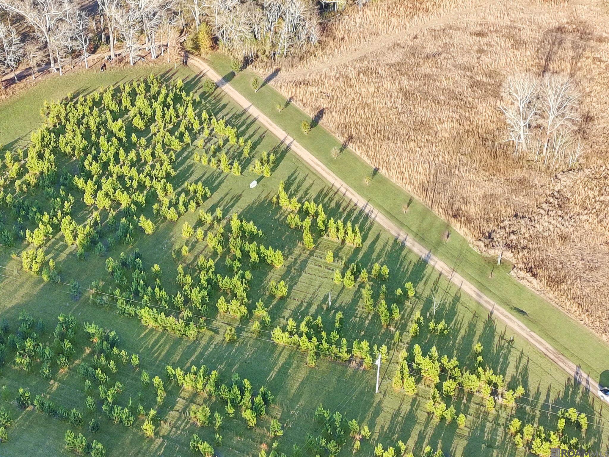 1558 Tommy Whitaker Rd, St Francisville, LA, 70775