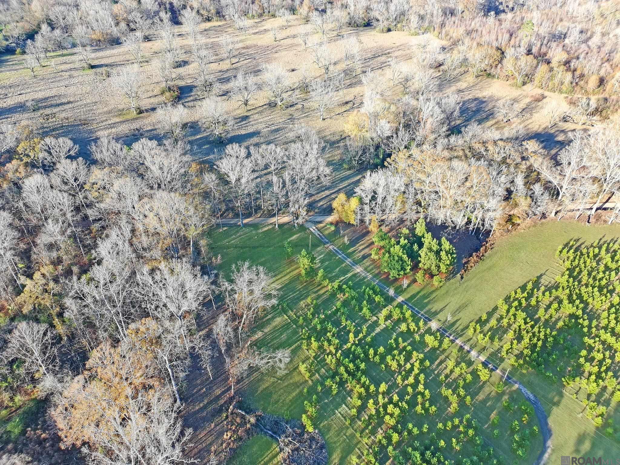 1558 Tommy Whitaker Rd, St Francisville, LA, 70775