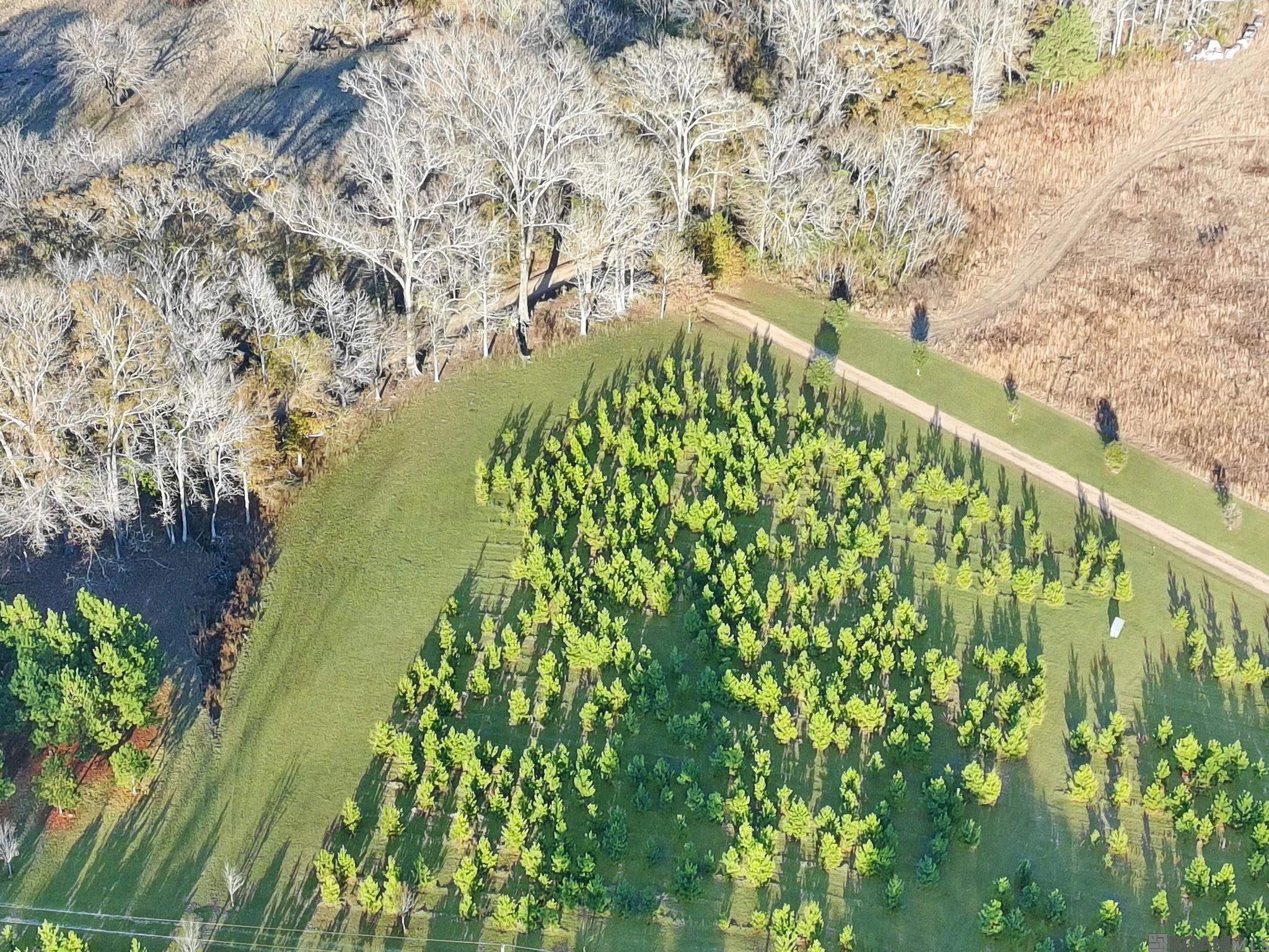 1558 Tommy Whitaker Rd, St Francisville, LA, 70775