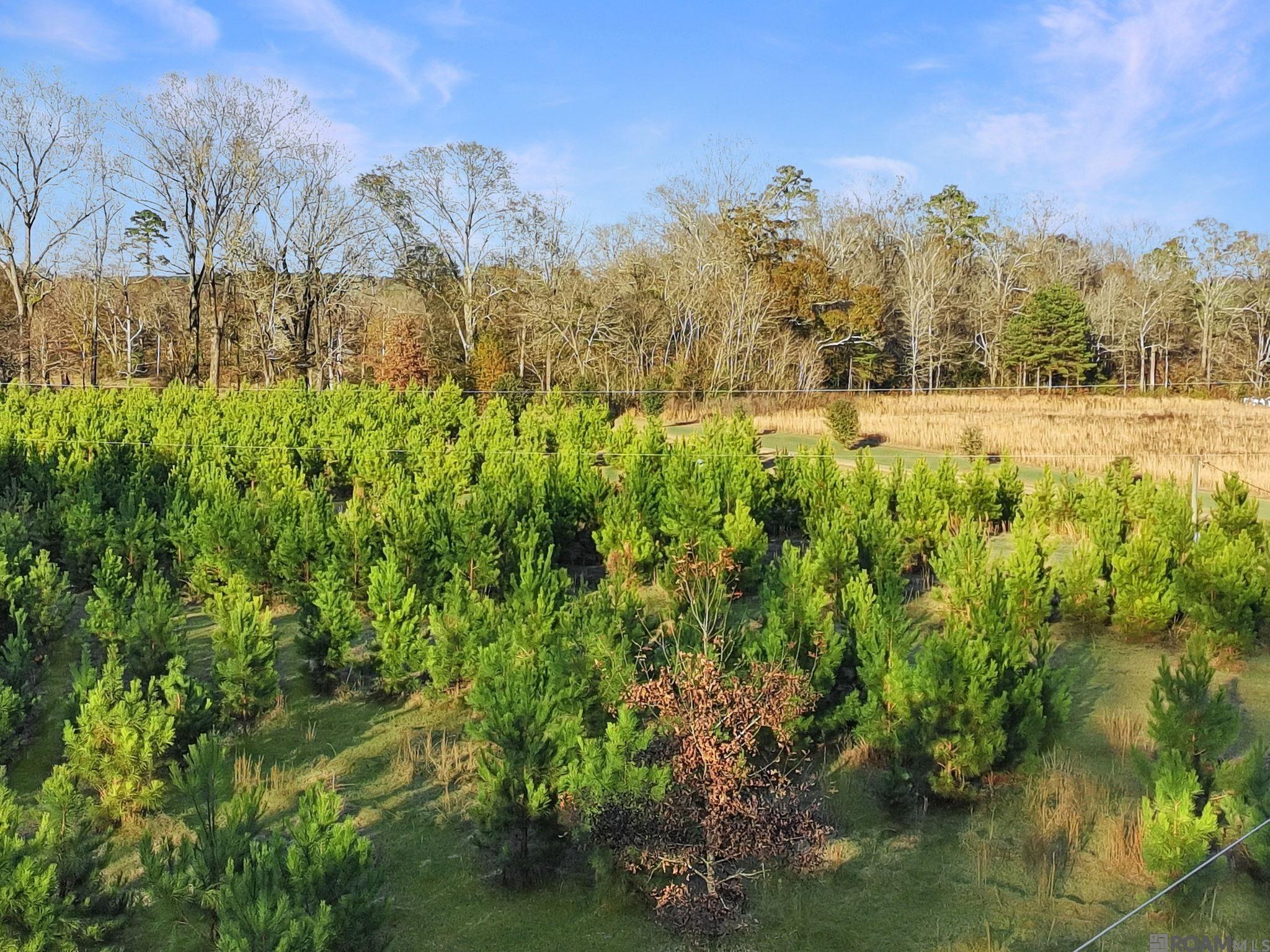 1558 Tommy Whitaker Rd, St Francisville, LA, 70775